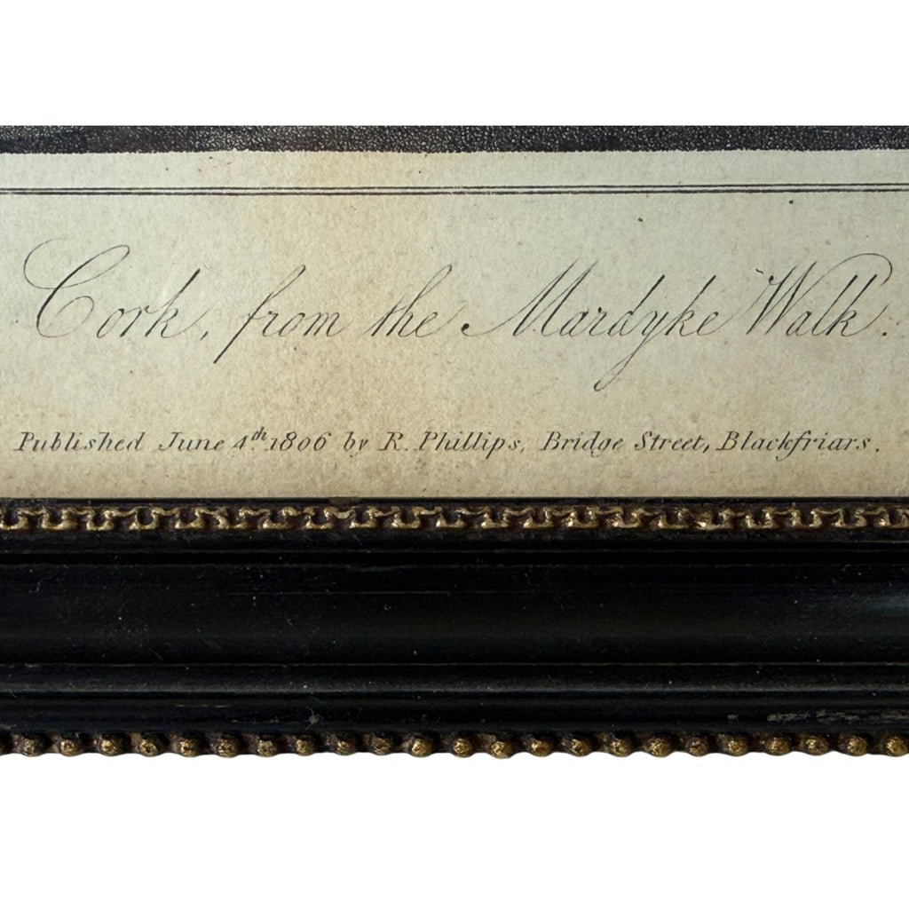 Cork from the Mardyke Walk 1806 aquatint title and publication detail
