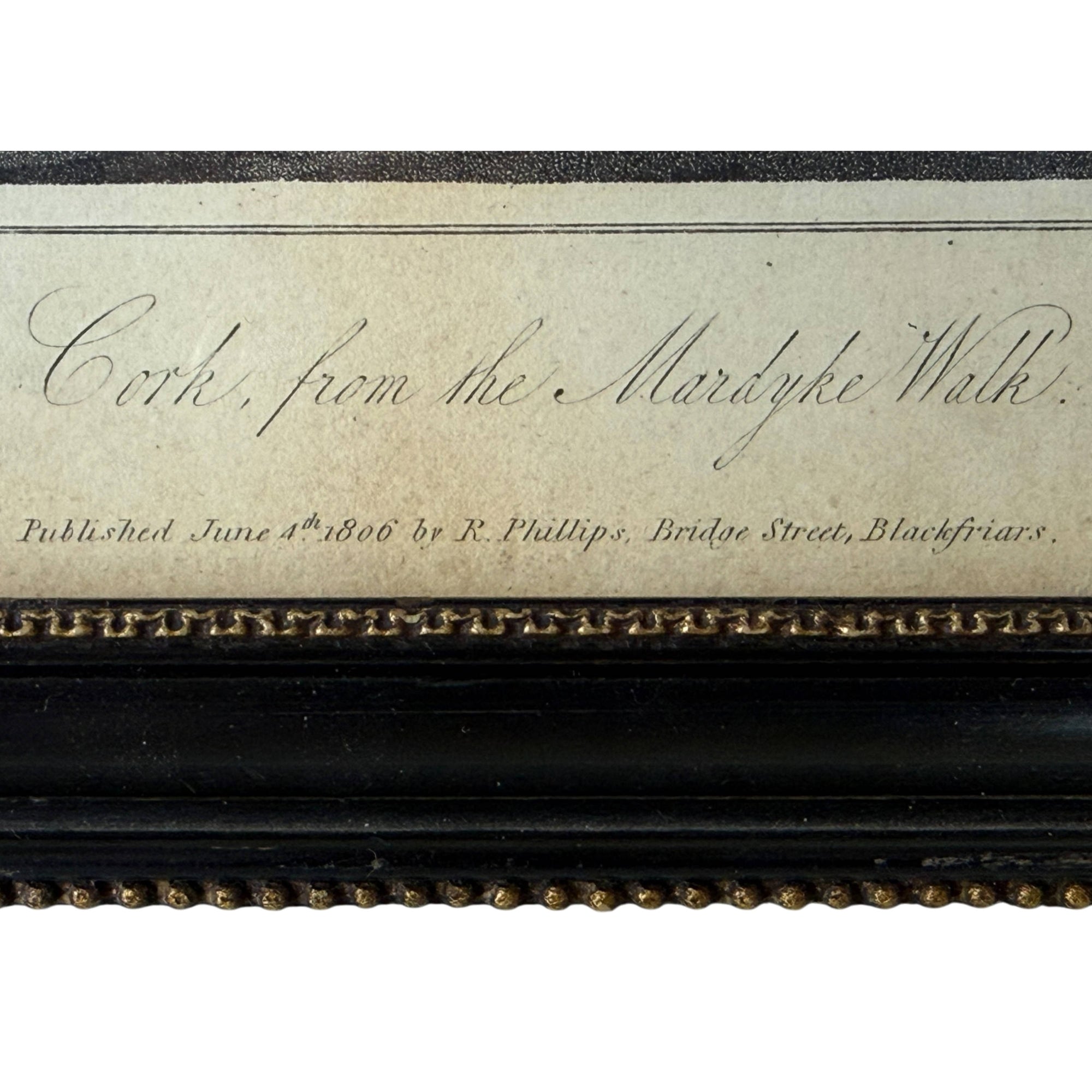 Cork from the Mardyke Walk 1806 aquatint title and publication detail