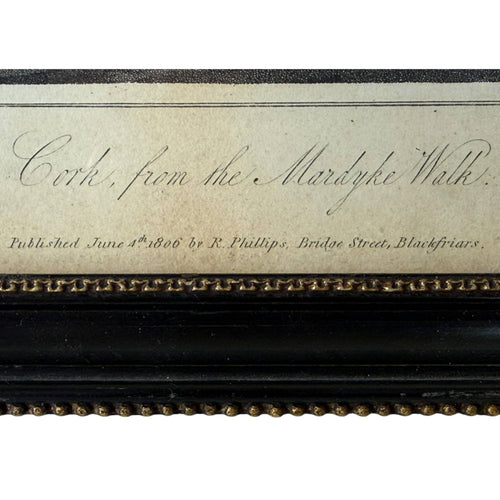 Cork from the Mardyke Walk 1806 aquatint title and publication detail