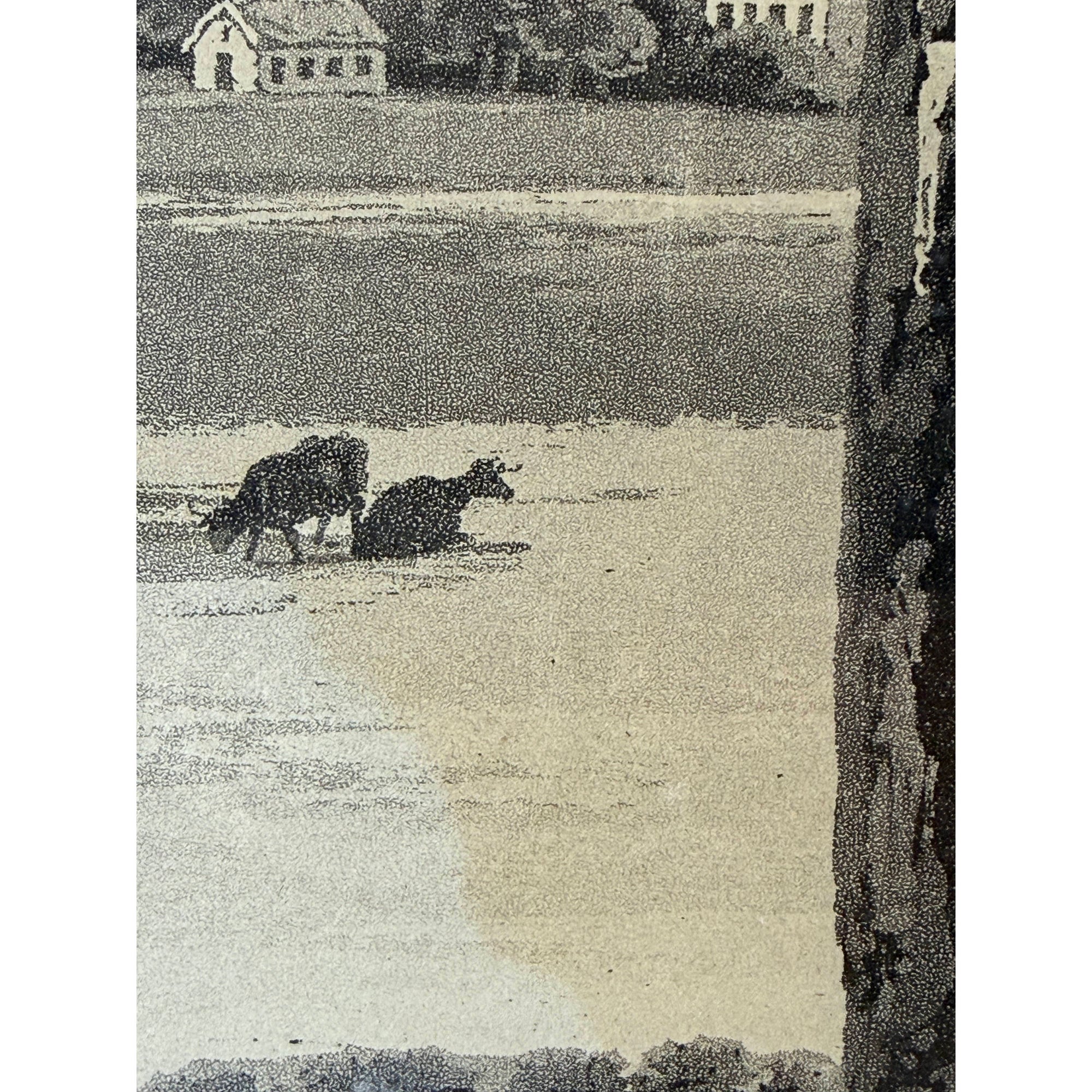 Detail of cattle and landscape in antique Cork Ireland aquatint