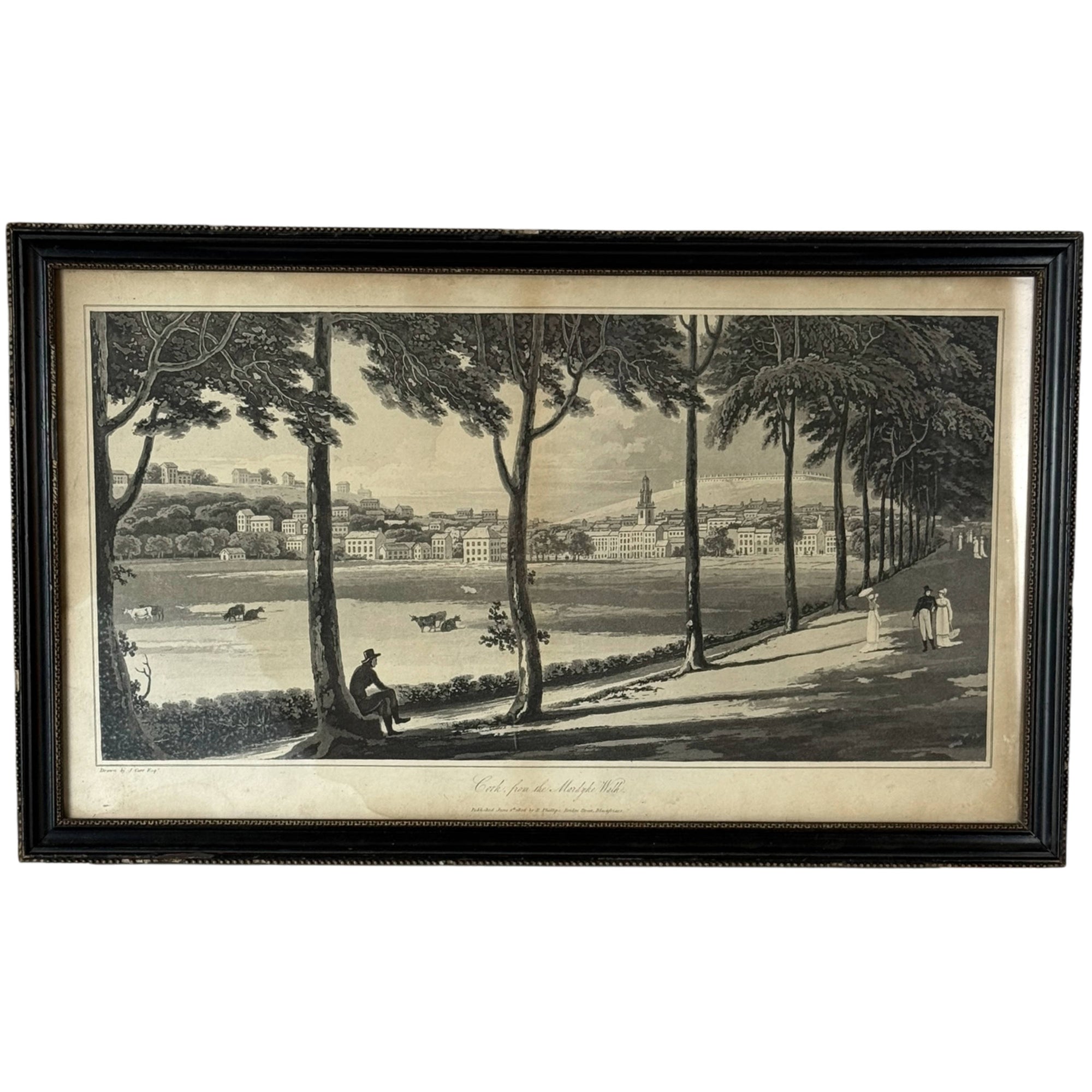 1806 Cork Ireland aquatint from the Mardyke Walk by John Carr framed