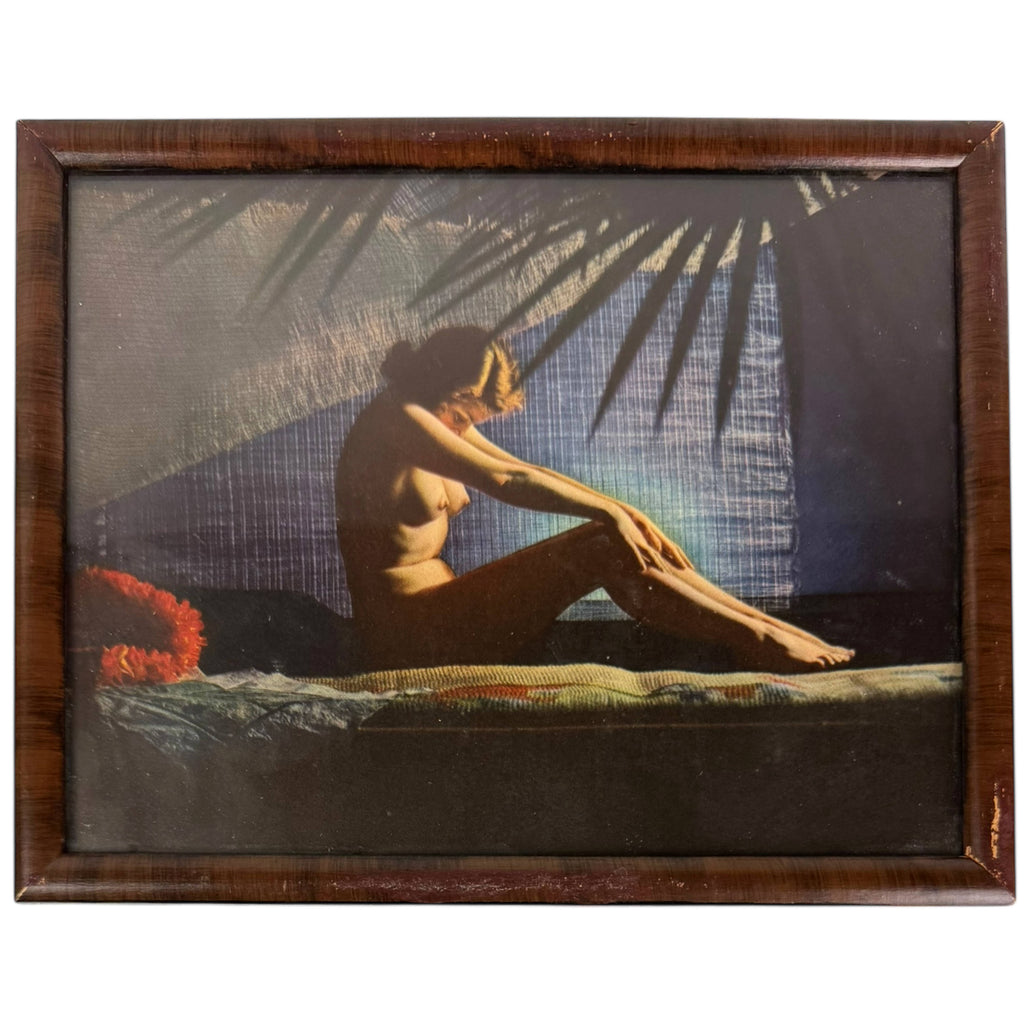 Vintage 1930s 1940s Nude Art Print Shadow Study Seated Woman