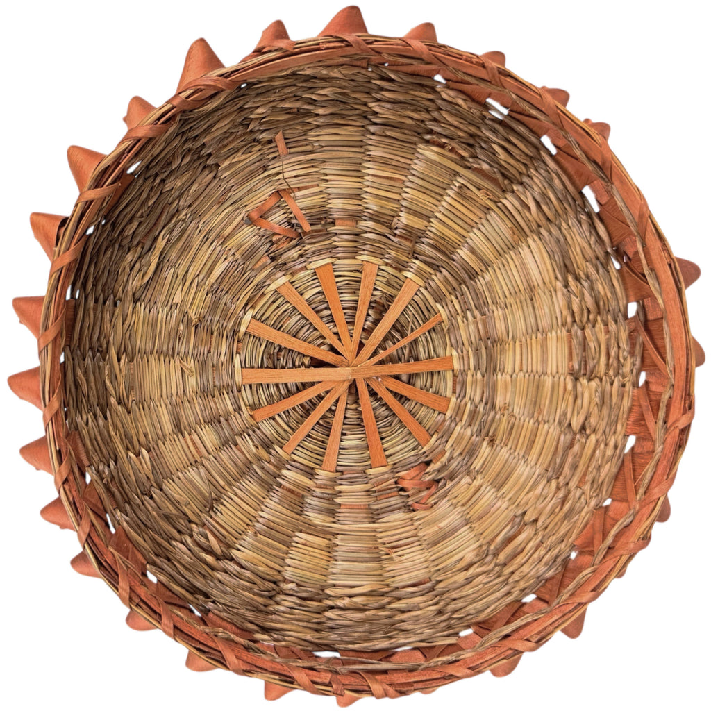 Antique Native American Lidded Basket Wabanaki Sweetgrass w Curly Ash Splint