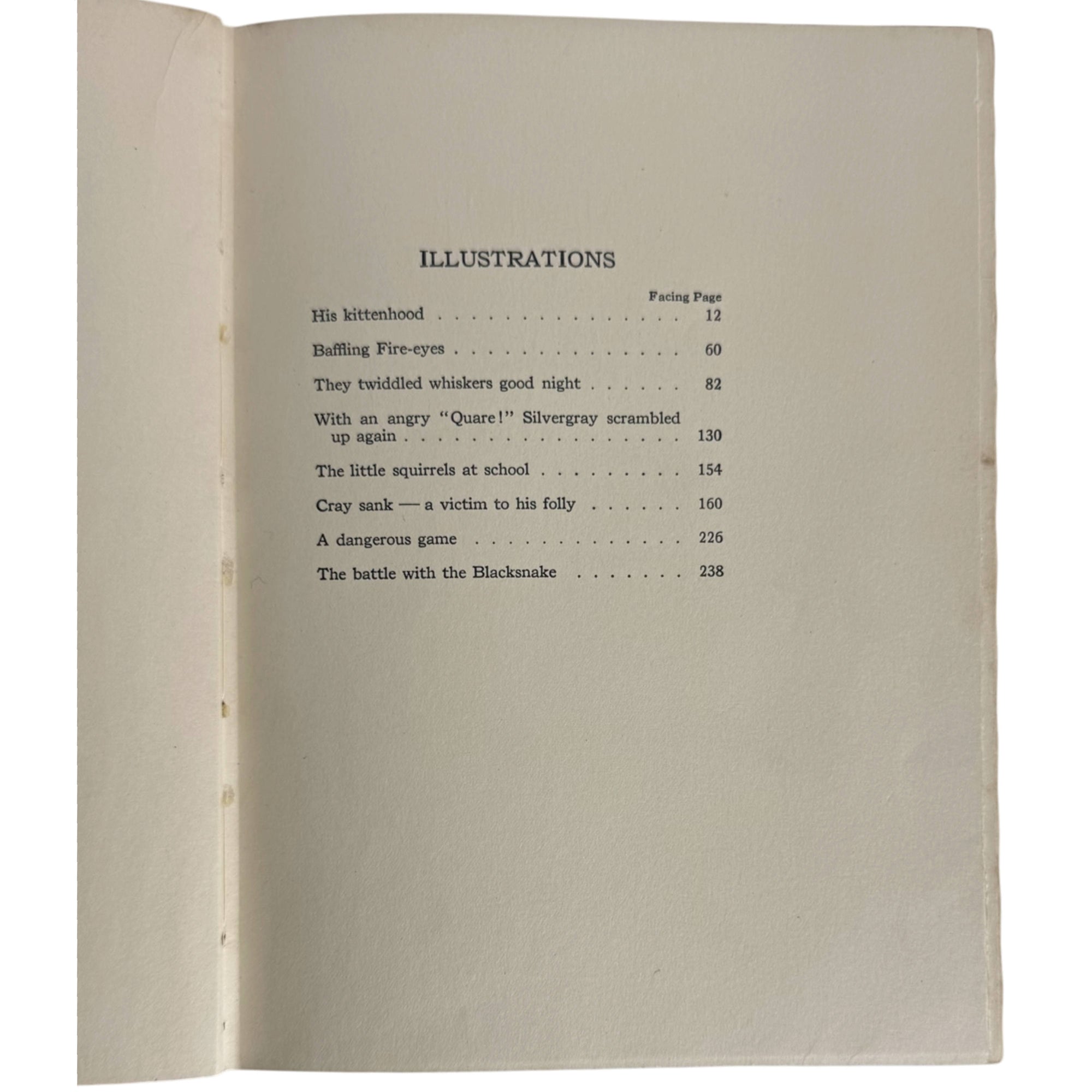 illustrations list for bannertail