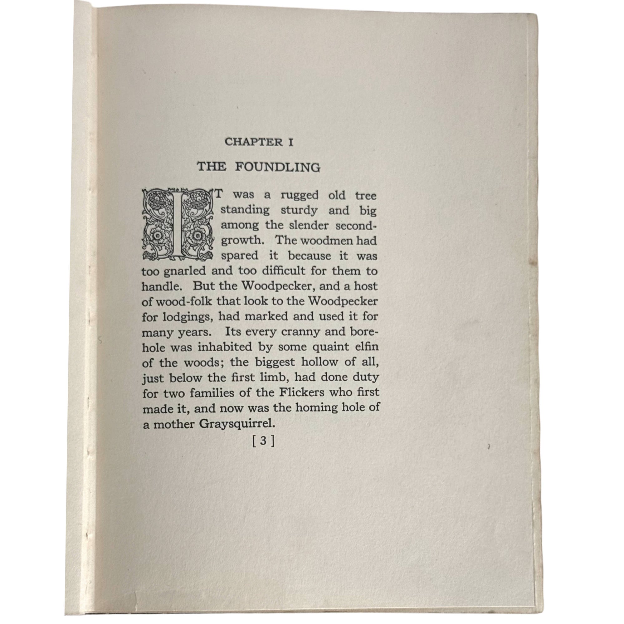 first page the foundling bannertail
