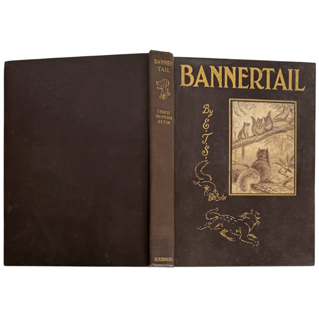 full cover of bannertail by ernest thompson seton