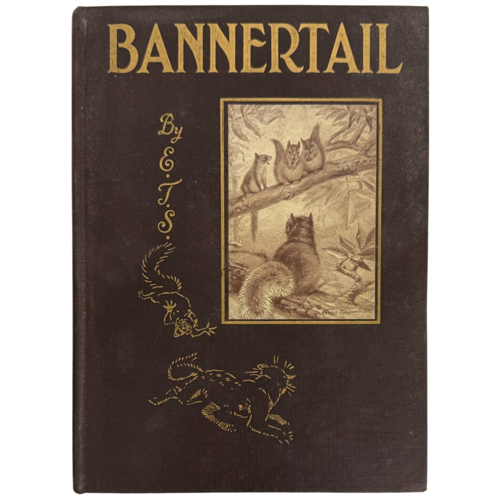 Vintage 1922 Bannertail: The Story of a Gray Squirrel by Ernest Thompson Seton Illustrated 1st Edition