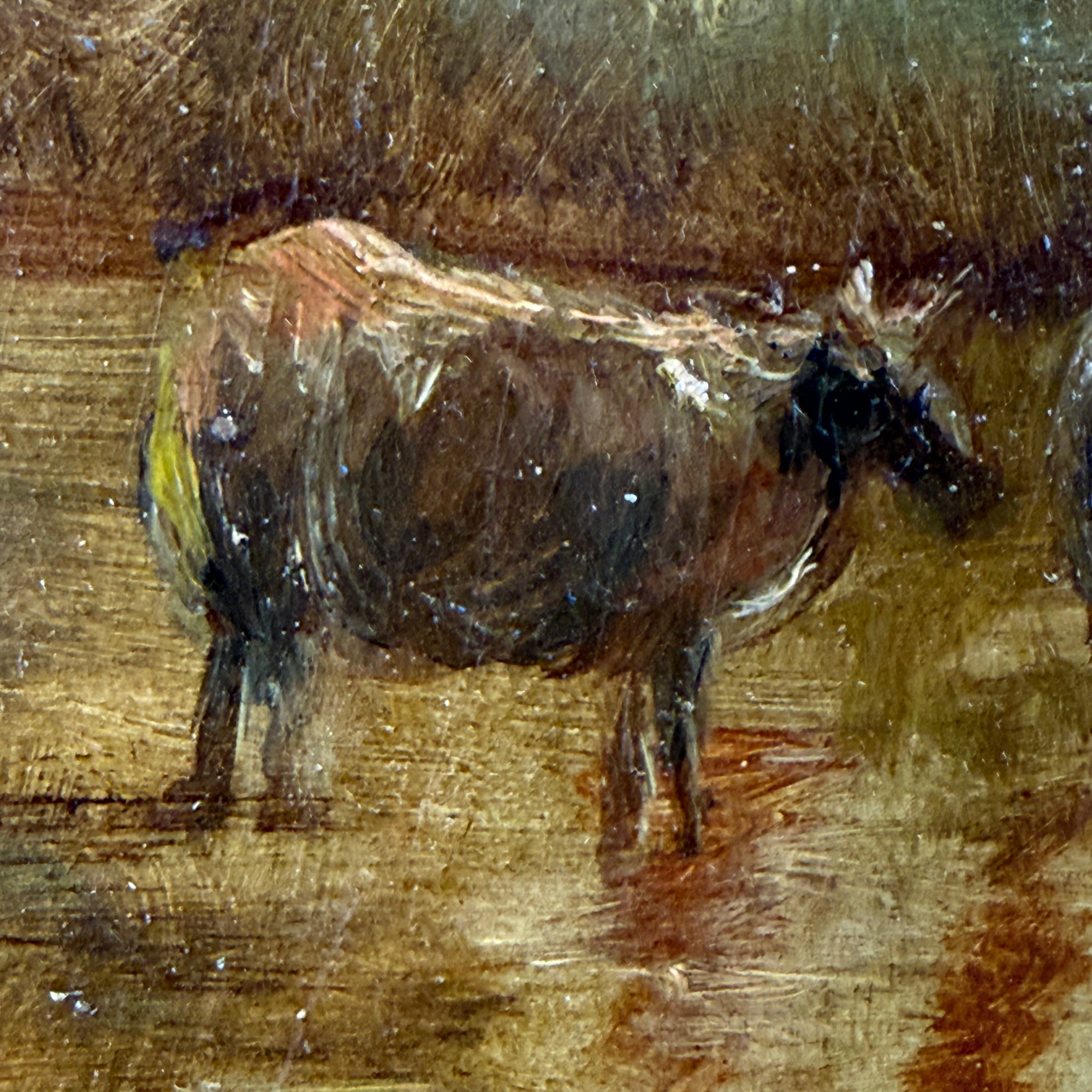 close up of Cattle in antique pastoral oil painting