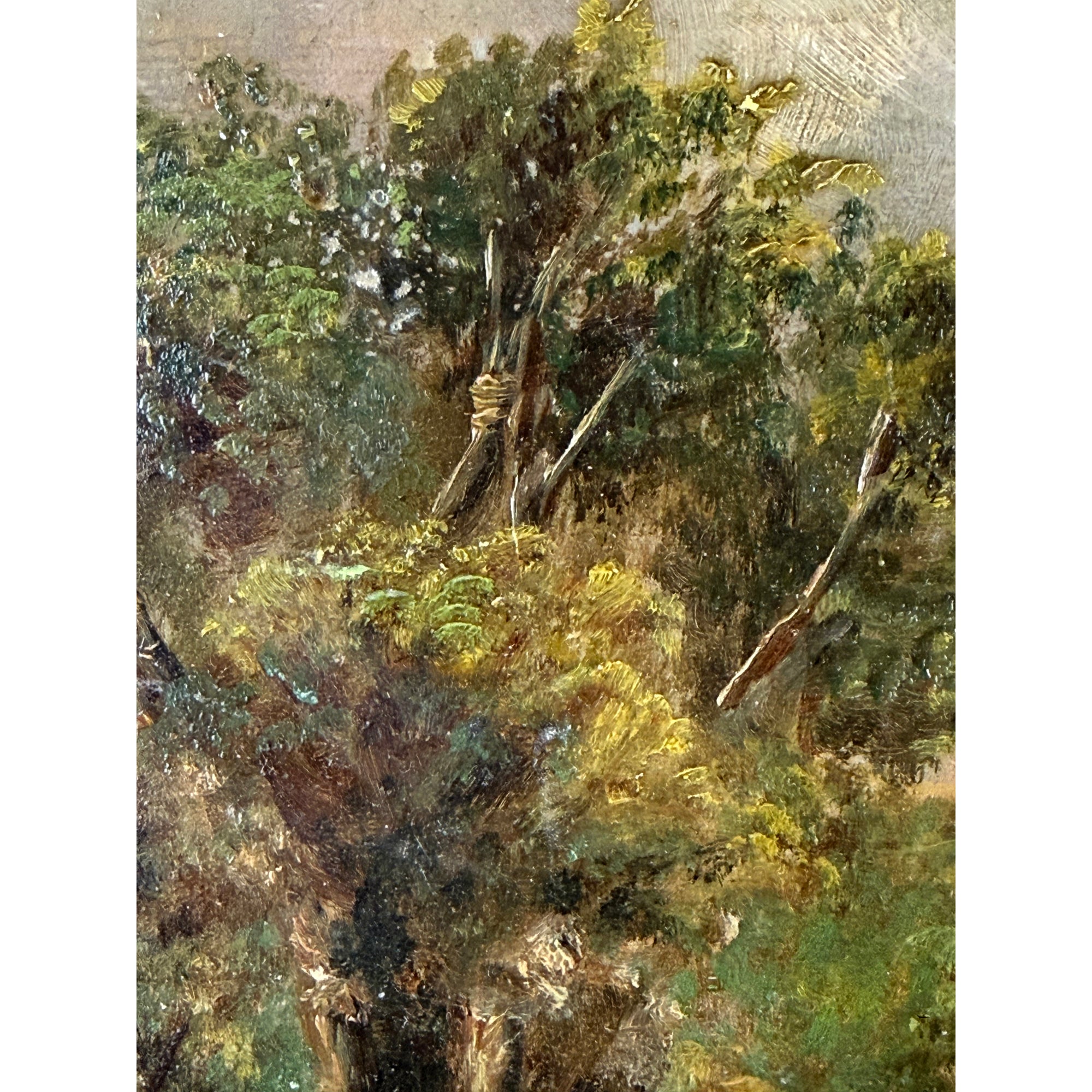 Trees and foliage with textured brushwork