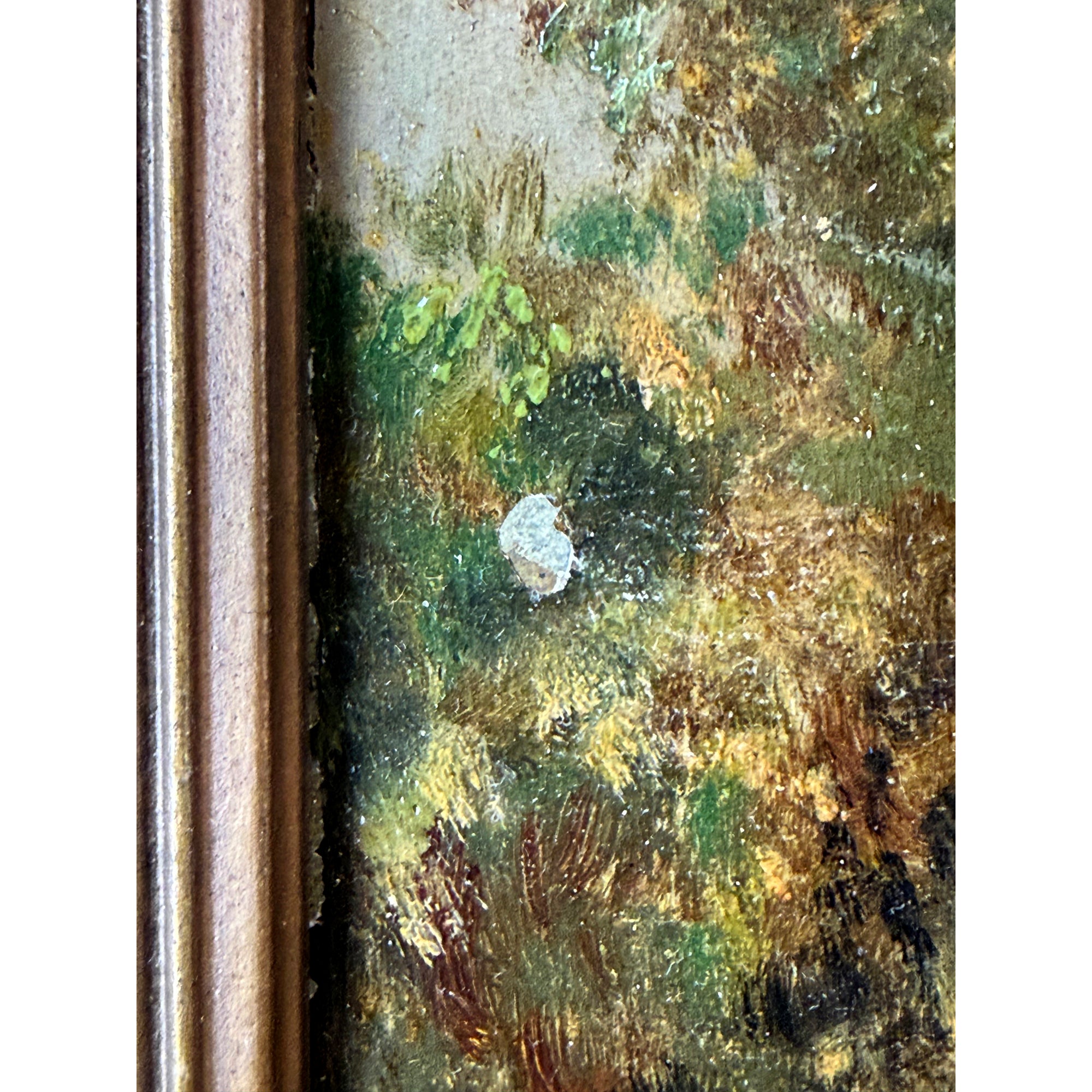 Paint loss and surface wear