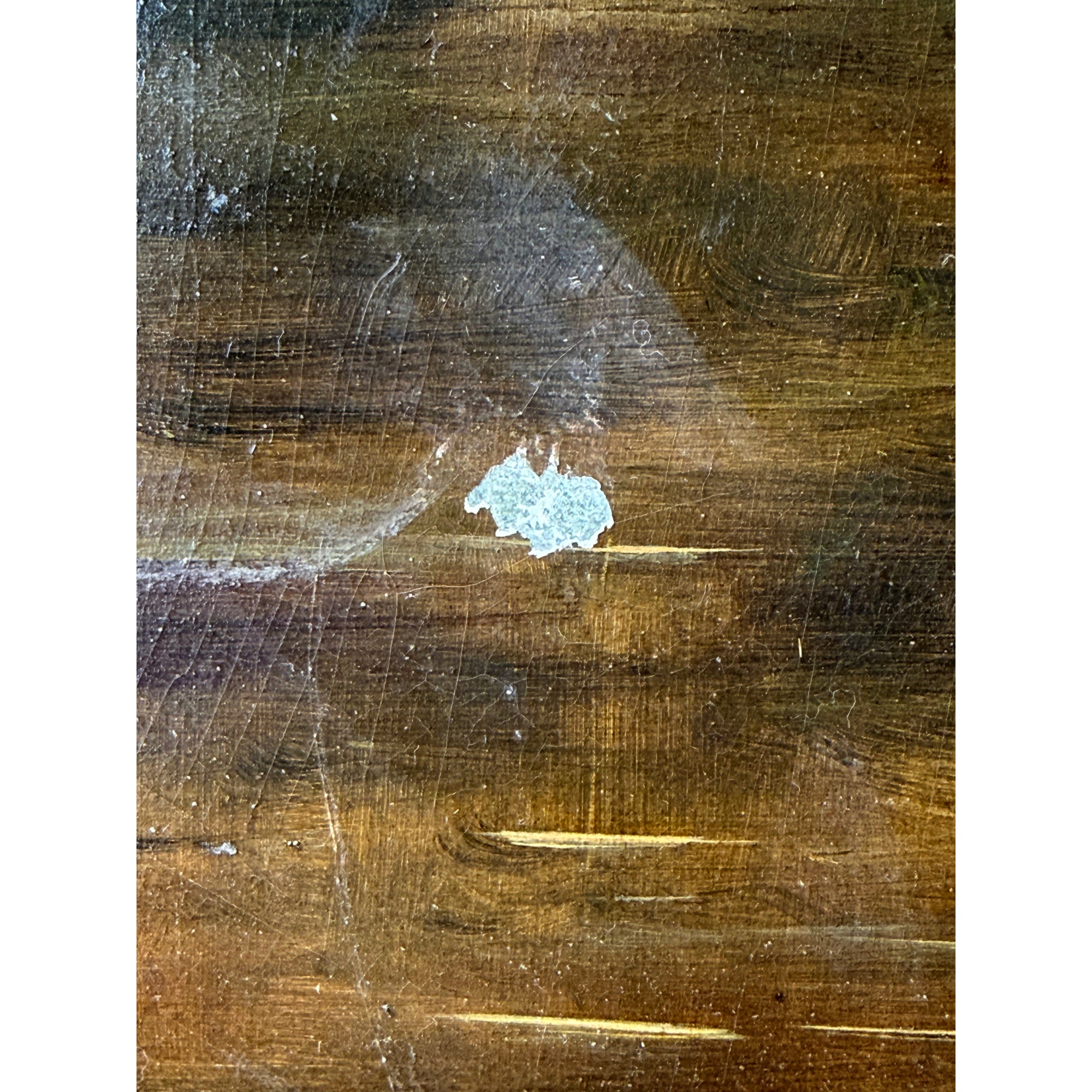  Craquelure and paint loss