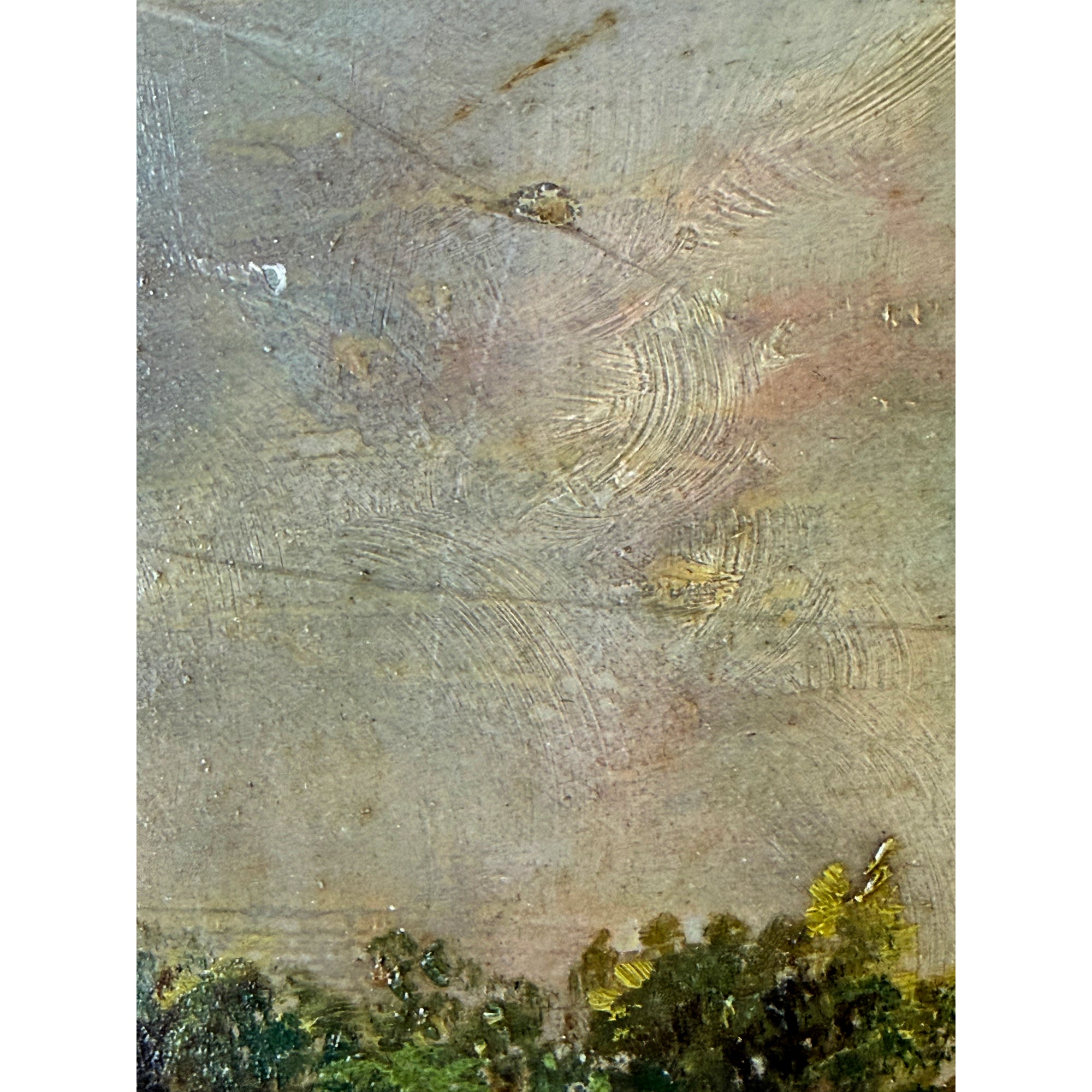  Craquelure on oil painting