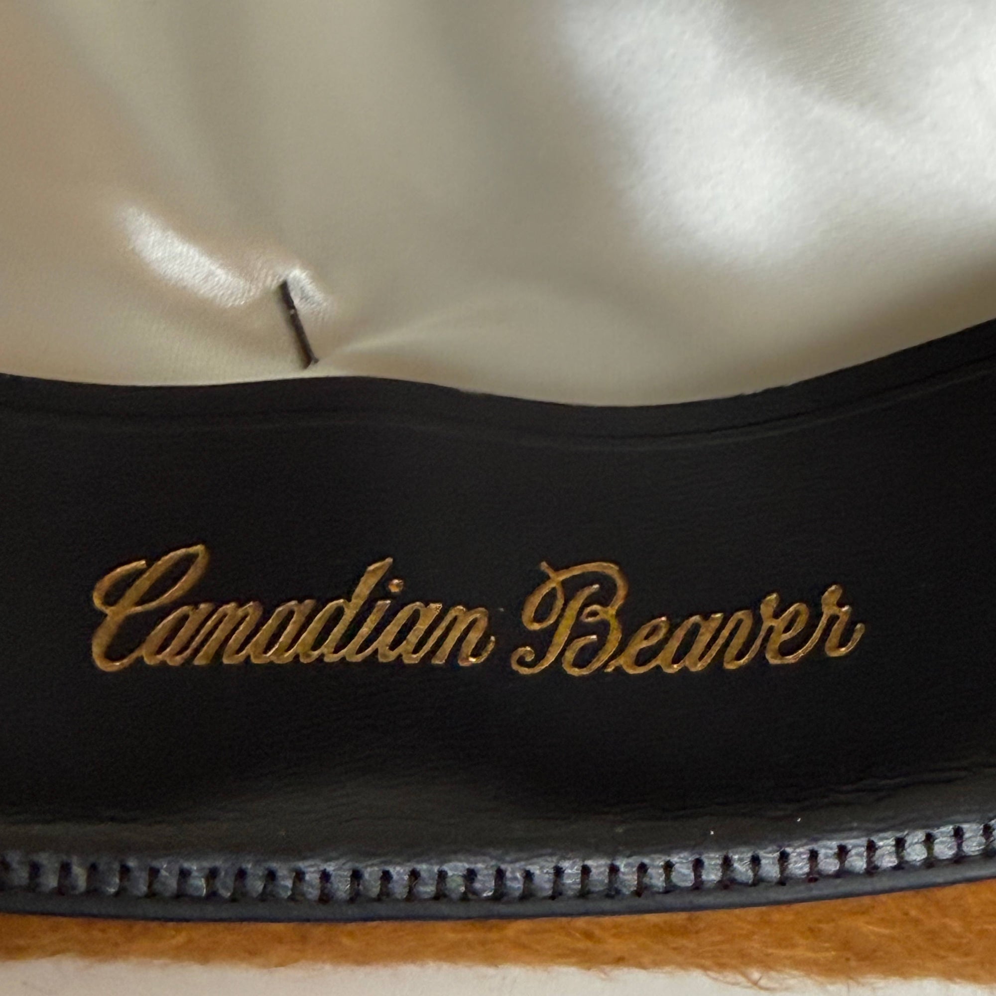 Vintage Dobbs Golden Coach Fedora – Canadian Beaver Plush – Size 7 – Late 1950s / Early 1960s