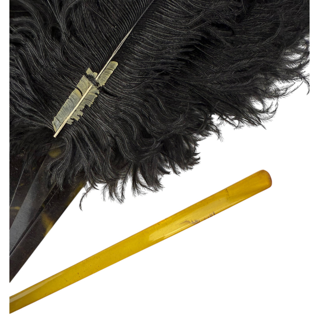 Antique Fan Edwardian Black Ostrich Feathers and Celluloid