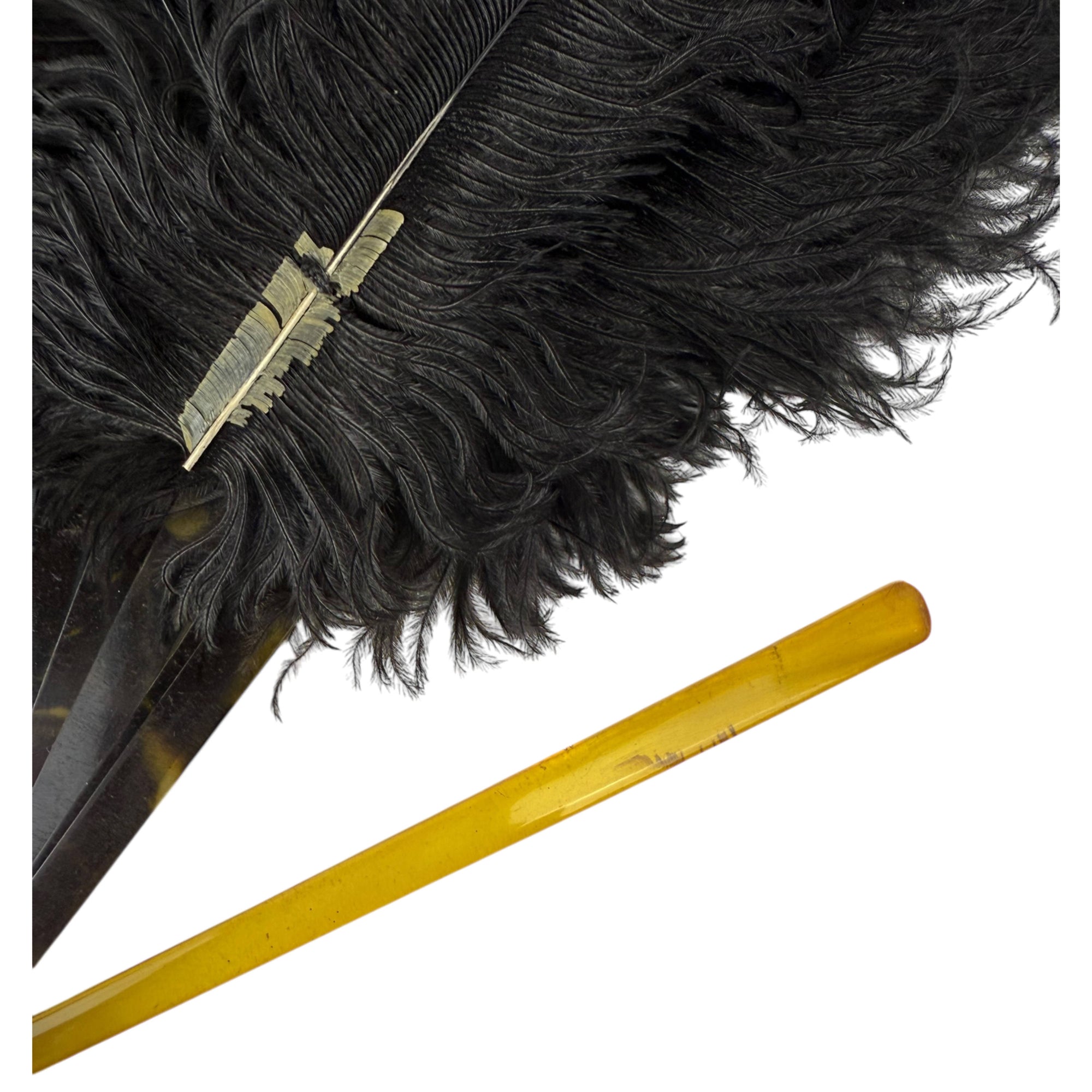 Antique Fan Edwardian Black Ostrich Feathers and Celluloid