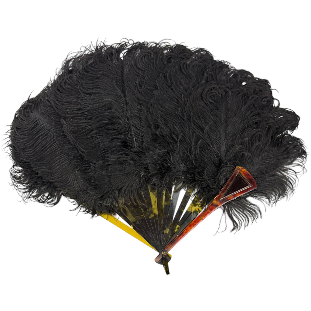 Antique Fan Edwardian Black Ostrich Feathers and Celluloid
