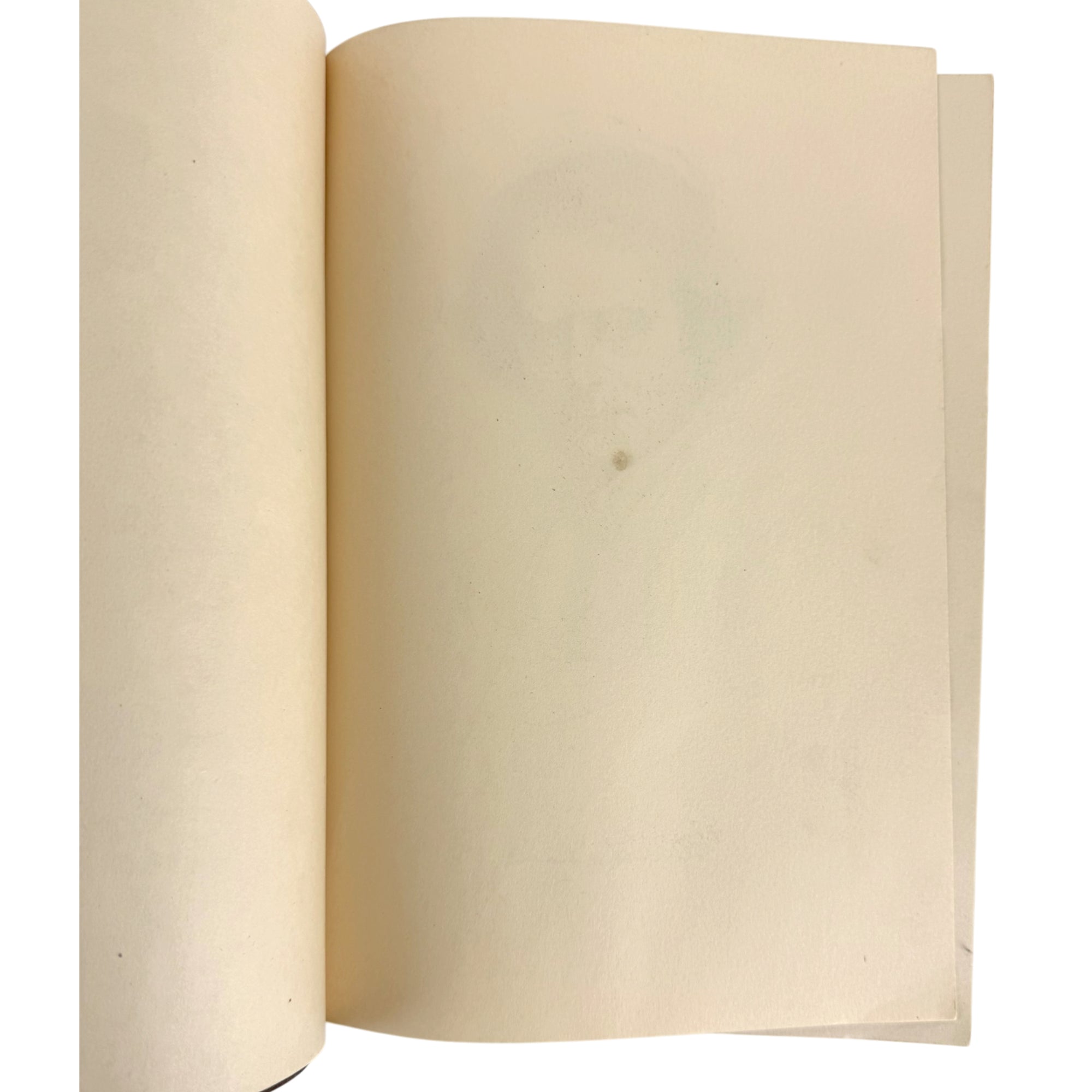small dot to interior page