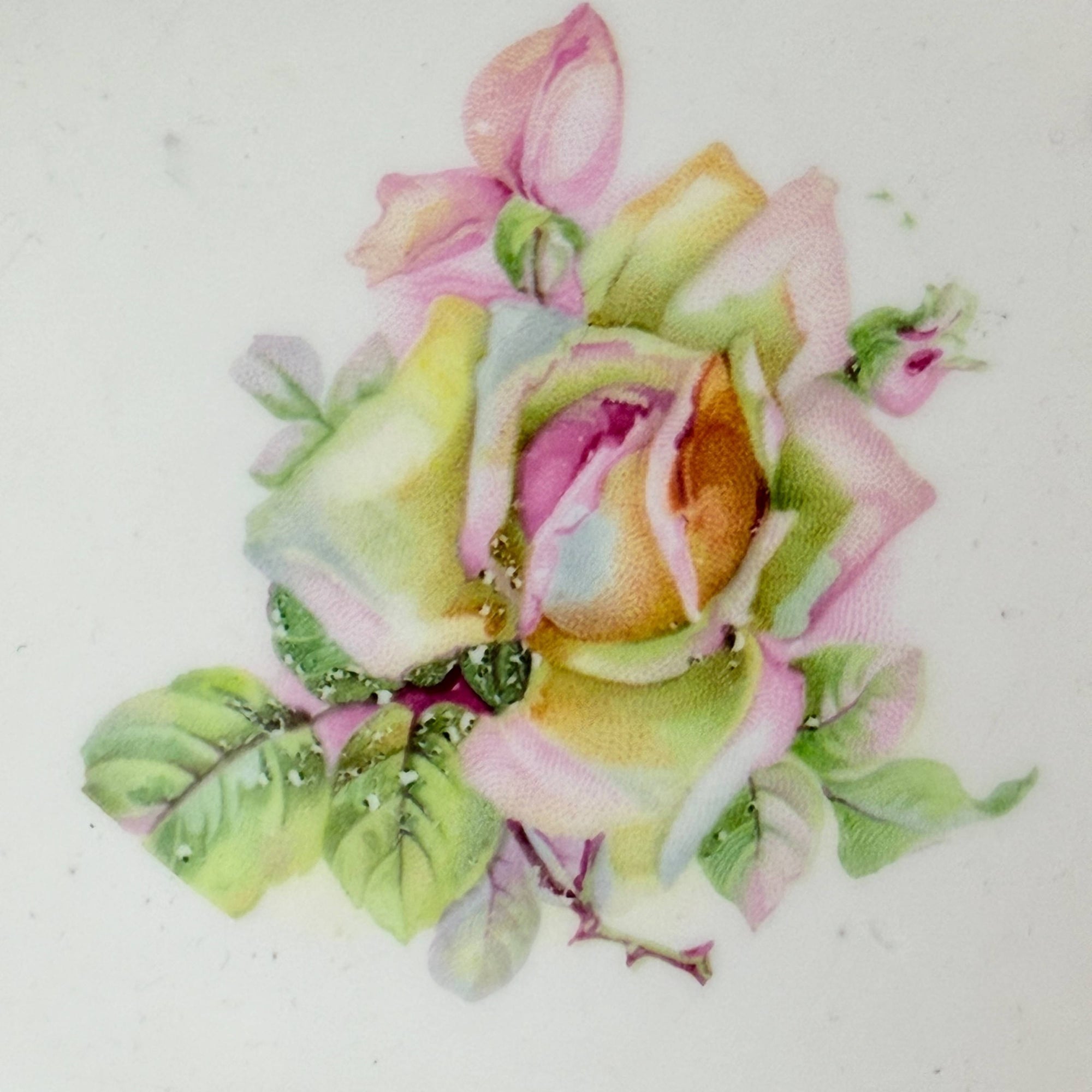 Antique Porcelain Bowl w Roses & Iridescence Germany c 1900