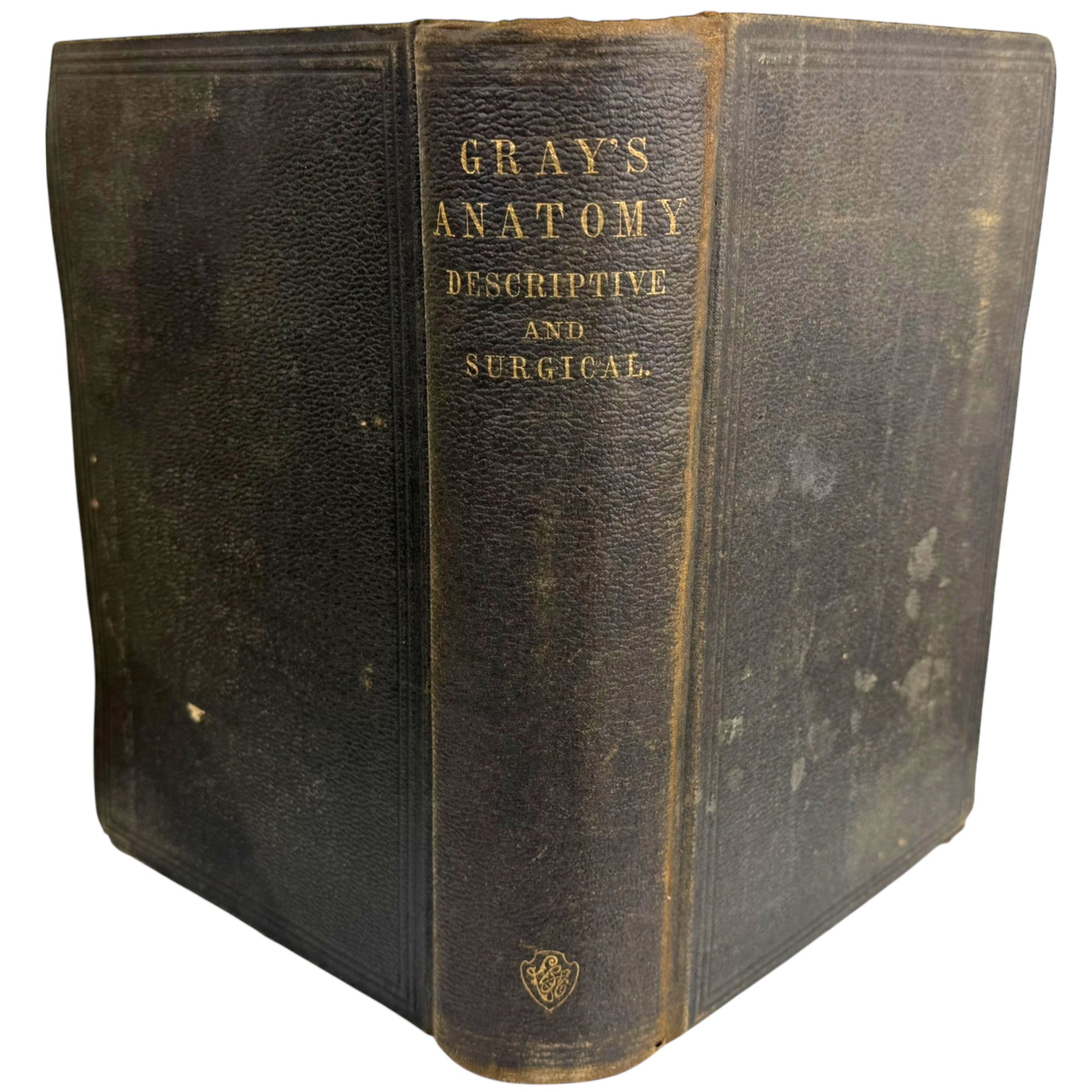 Vintage 1883 Gray’s Anatomy Book 10th Edition Henry Gray Medical Anatomy Surgical Illustrated