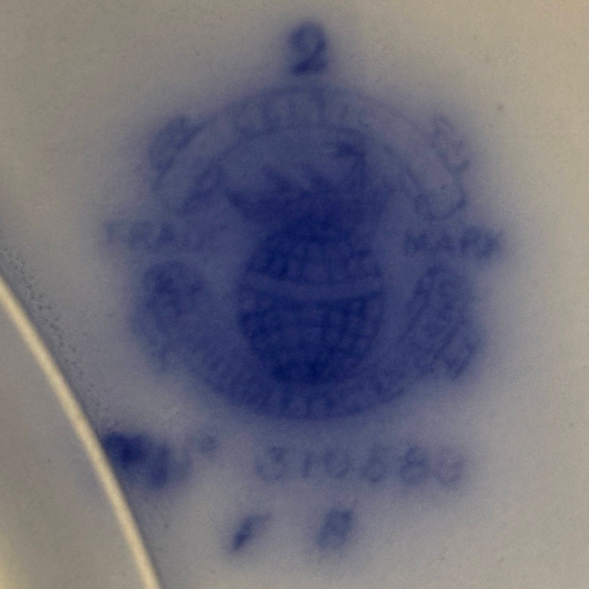 Grindley Celtic backstamp detail