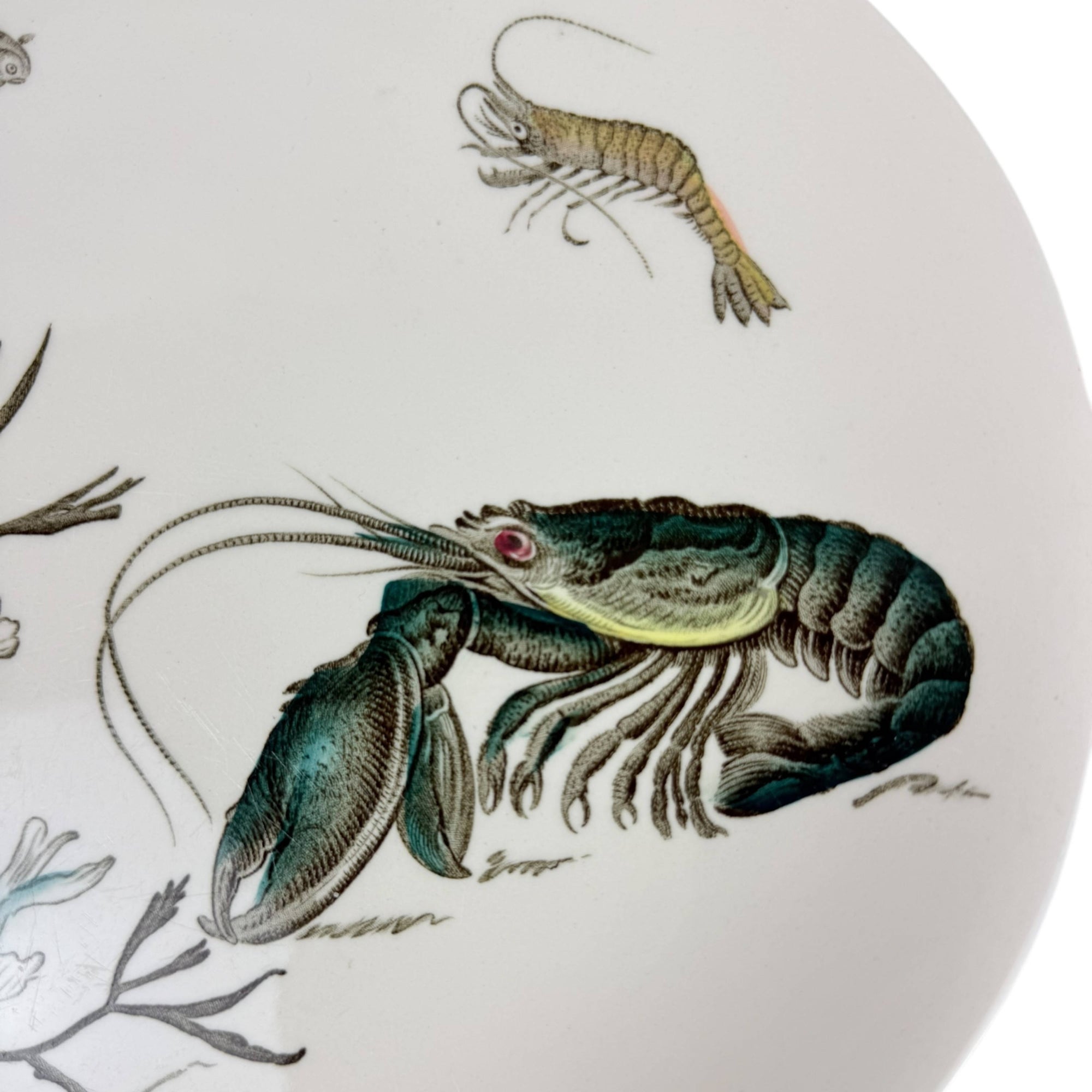 Vintage 1950s Johnson Brothers Fish Pattern Dinner Plate Crayfish Design 1 10 3/8” by 9 1/2”