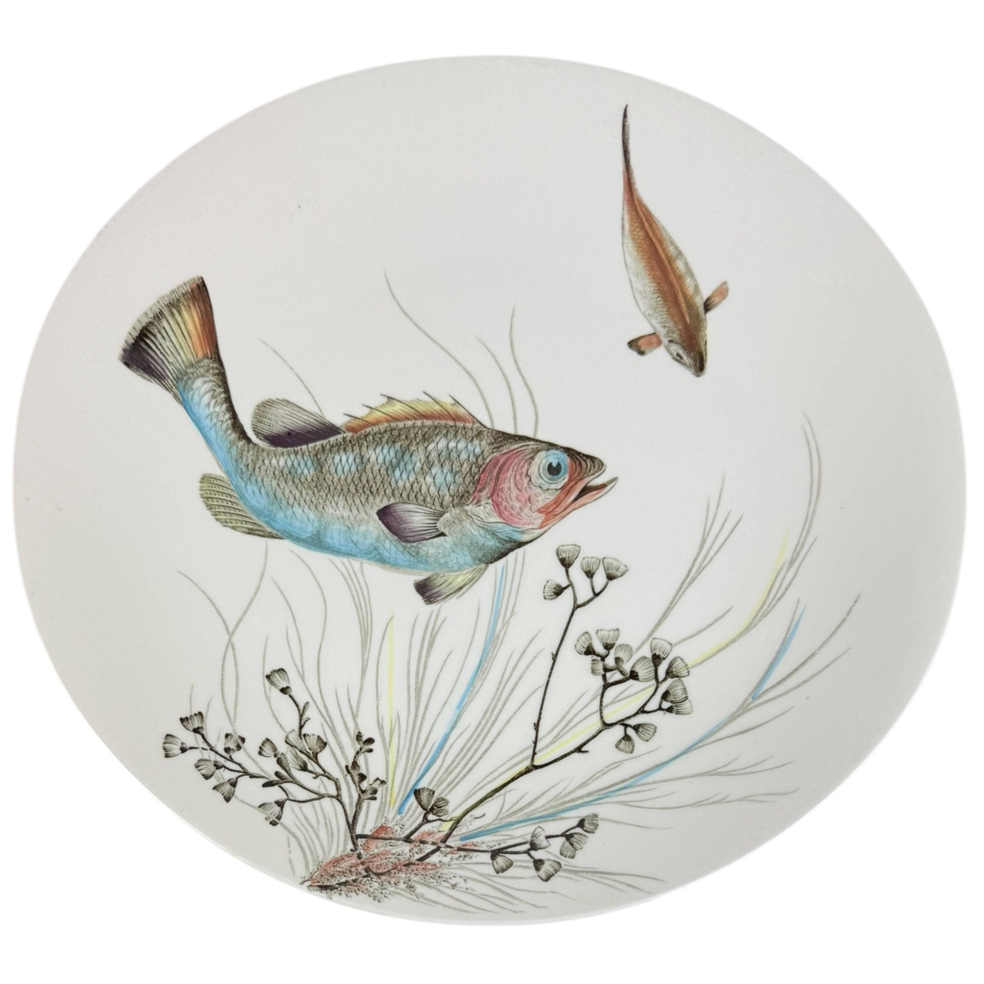 Vintage 1950s Johnson Brothers Fish Pattern Dinner Plate Crayfish Design 2 10 3/8” by 9 1/2”