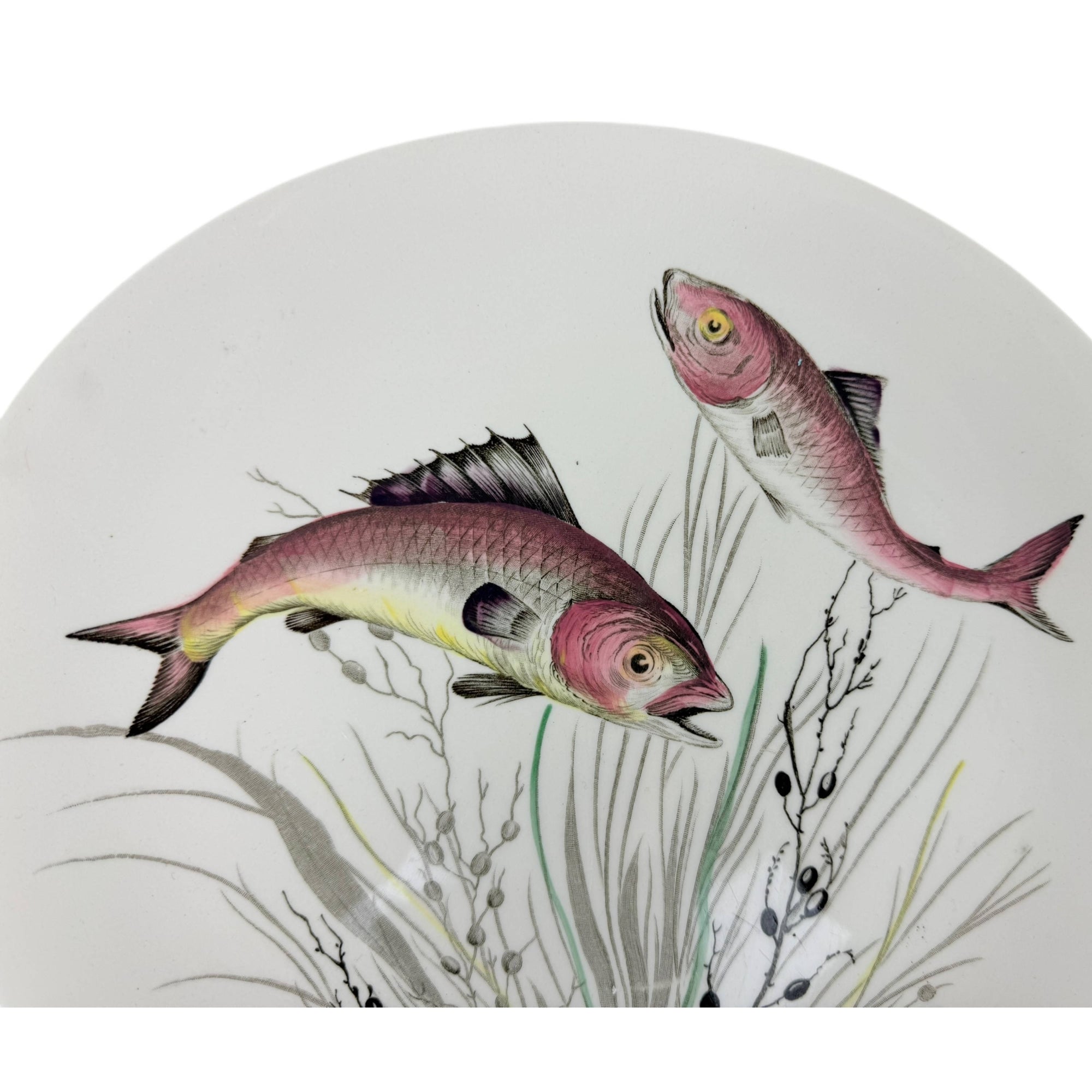Vintage 1950s Johnson Brothers Fish Pattern Dinner Plate Design 3 10 3/8” by 9 1/2”