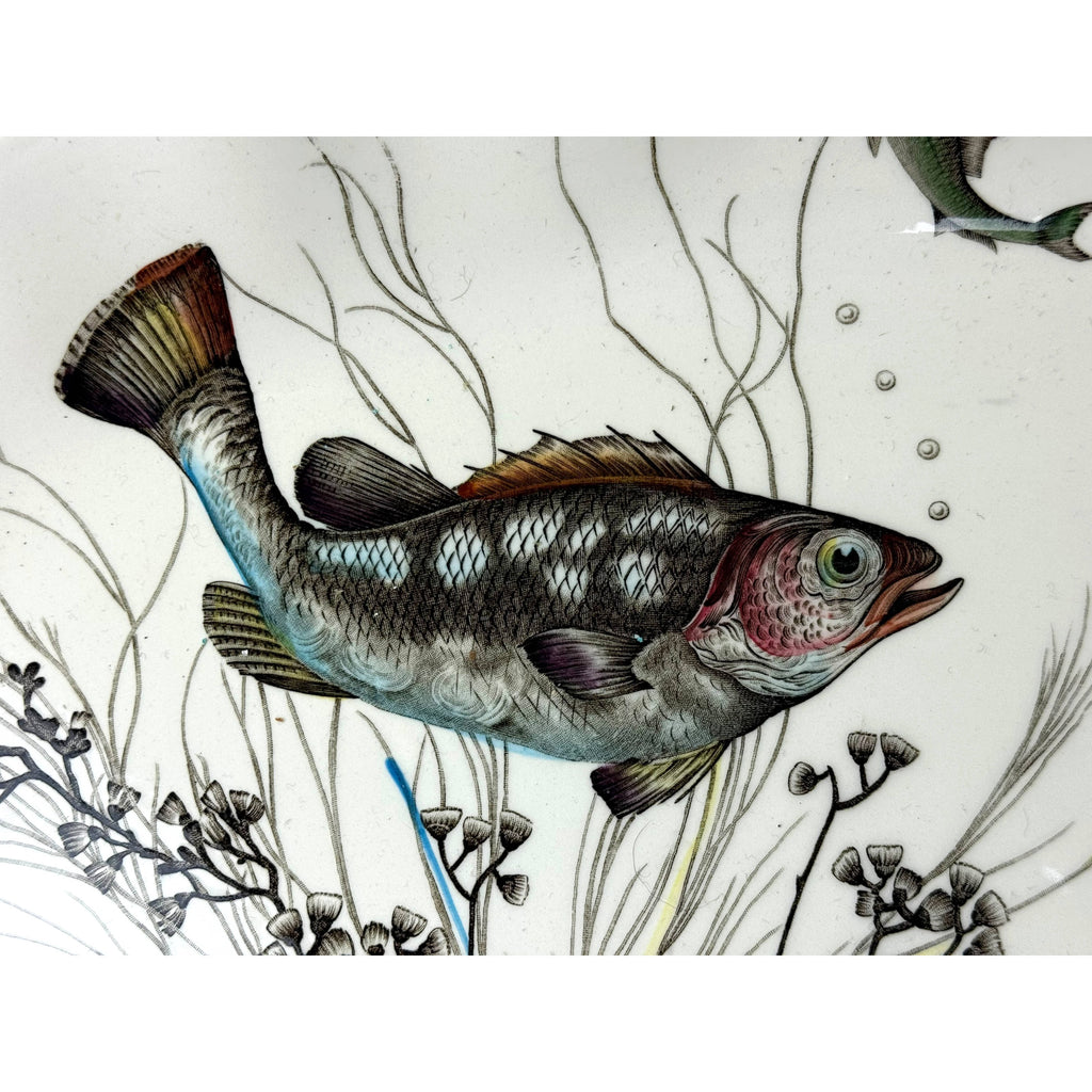 1950s 60s Vintage Johnson Brothers Fish Pattern Platter 20”