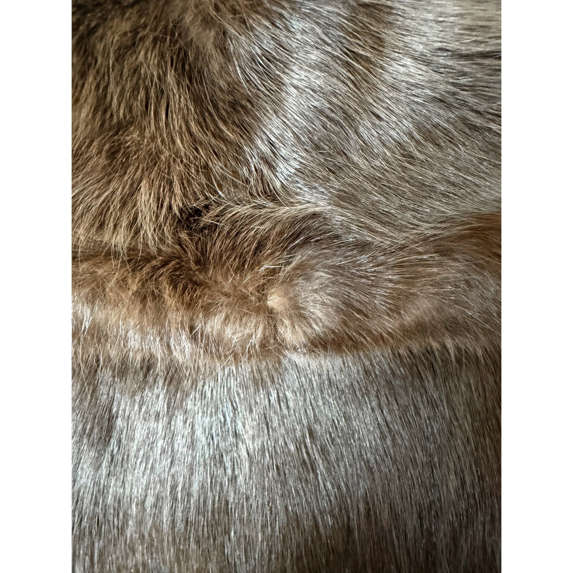 1950s Vintage Squirrel Fur Jacket P. Leclerc Fourrures Quebec Short Coat