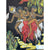4 1950s Kitsch African Dancers Silkscreen Prints Signed Nona