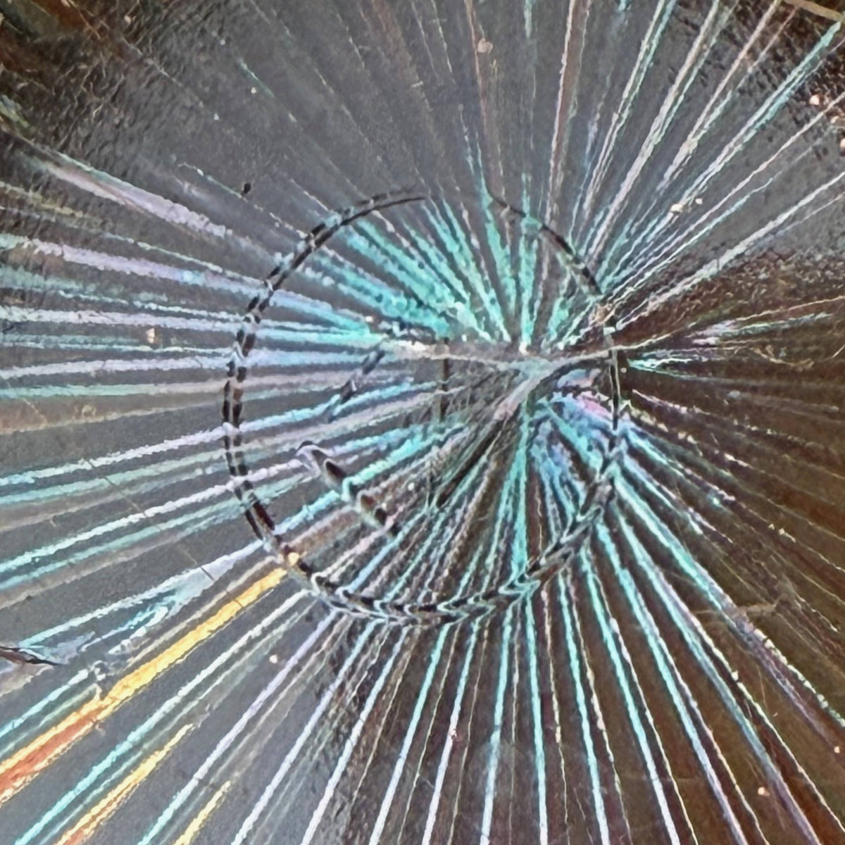 Northwood glass underlined N signature