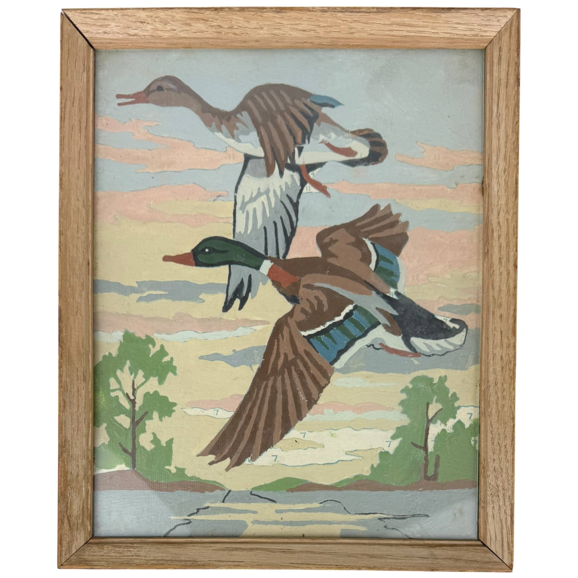 1954 Vintage PBN Duck Paintings On The Wing Craft Master K-6