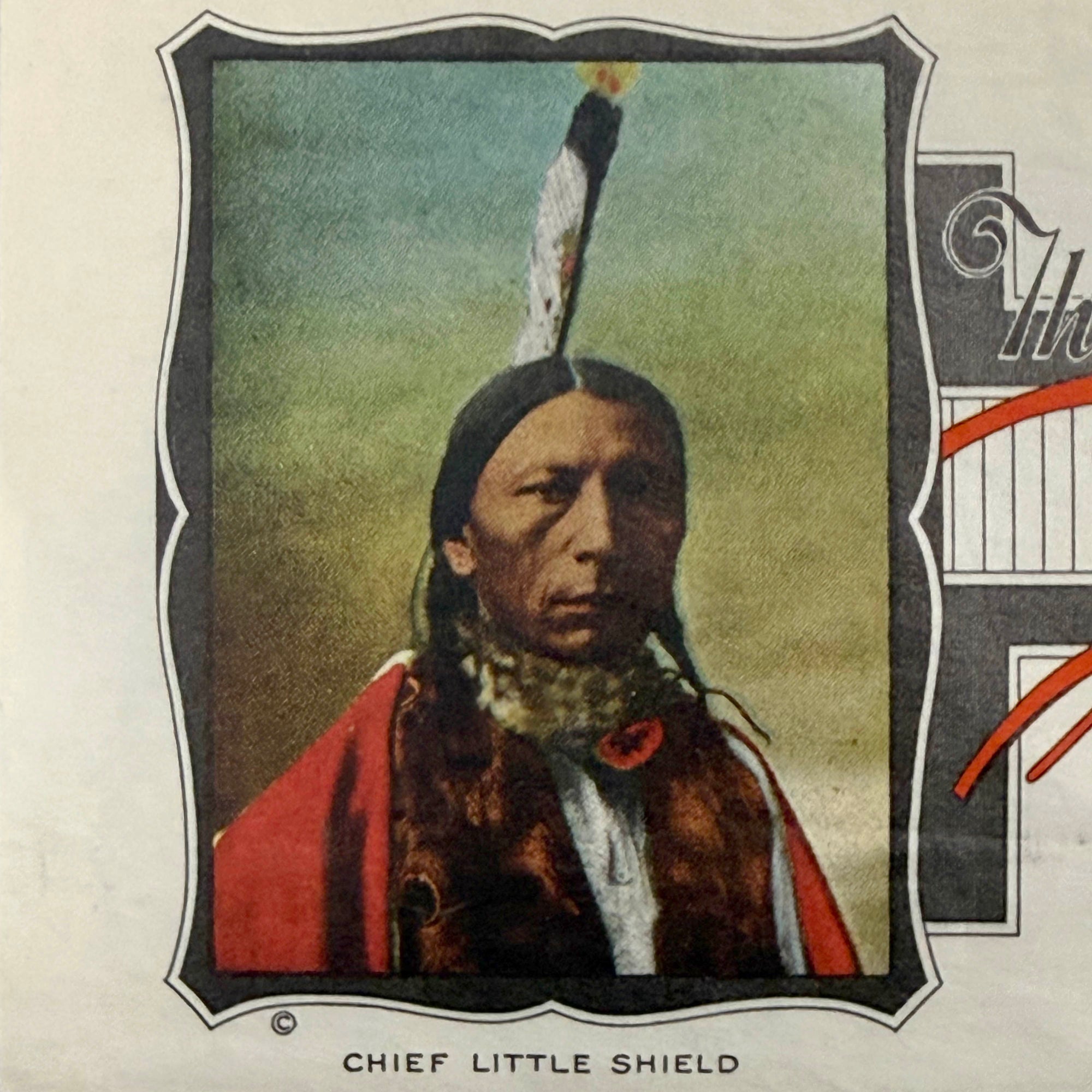 chief little shield printed photo