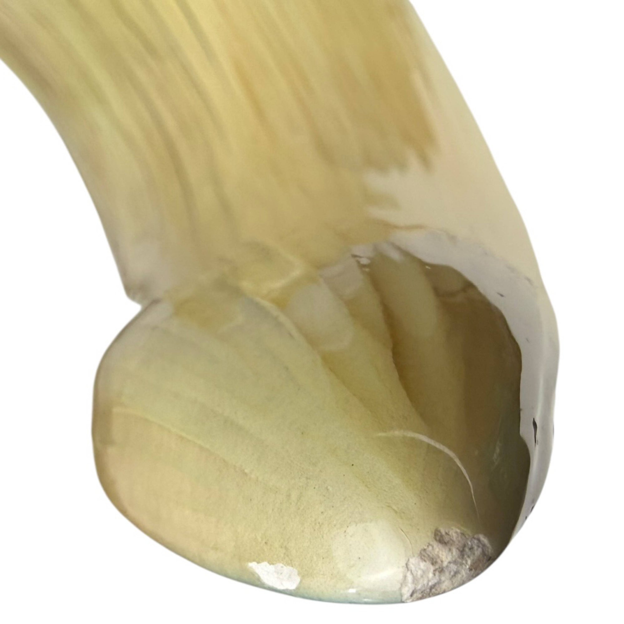 vintage italian ceramic shell centrepiece tip detail glaze wear