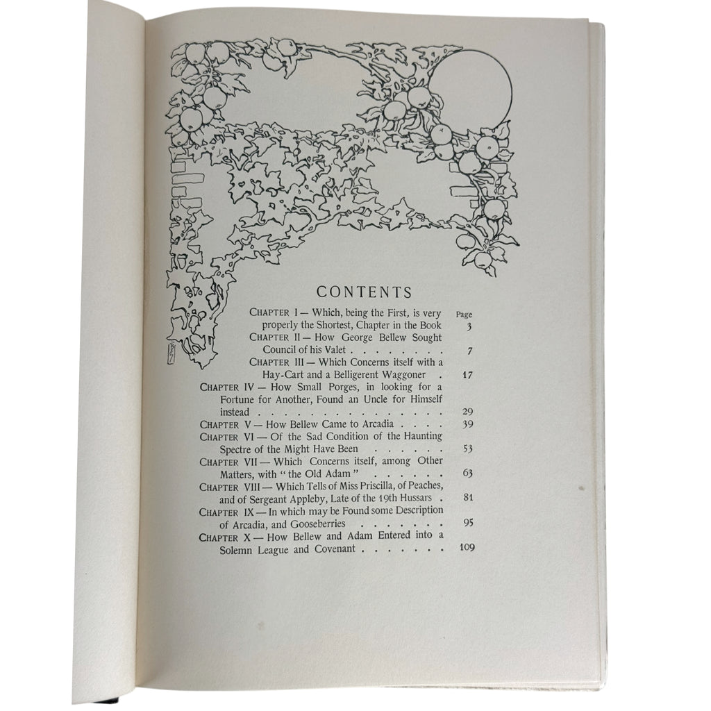 An open book showing the contents page of The Money Moon book