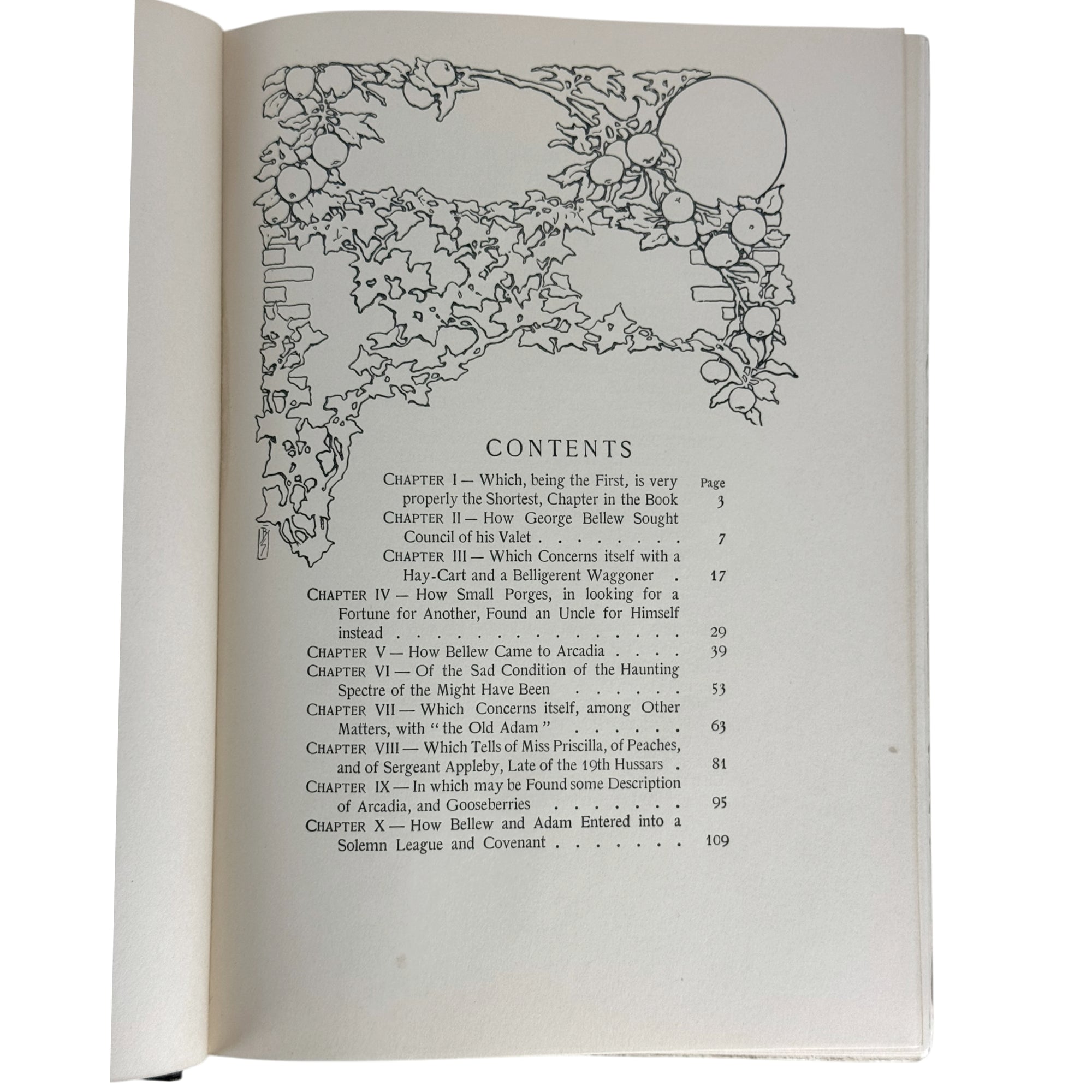 An open book showing the contents page of The Money Moon book
