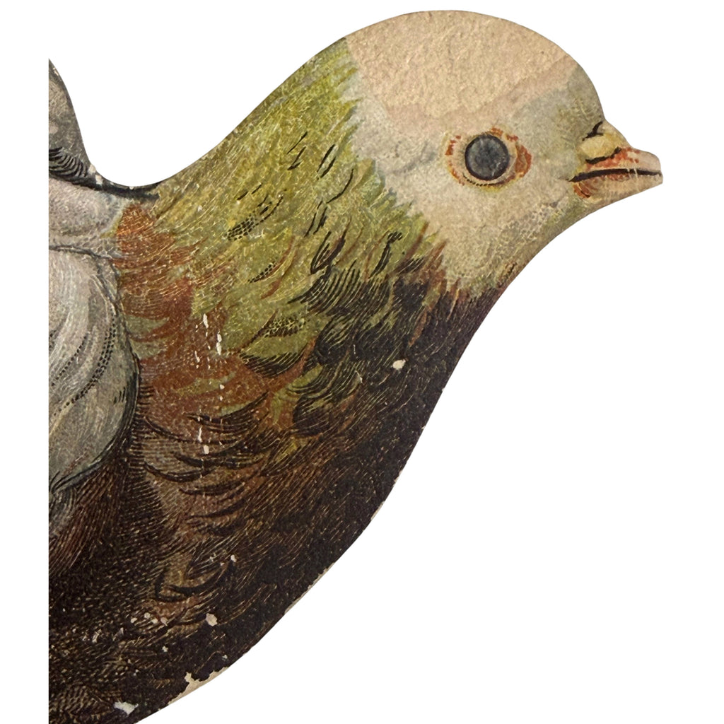 Close-up of embossed Victorian chromolithograph carrier pigeon.