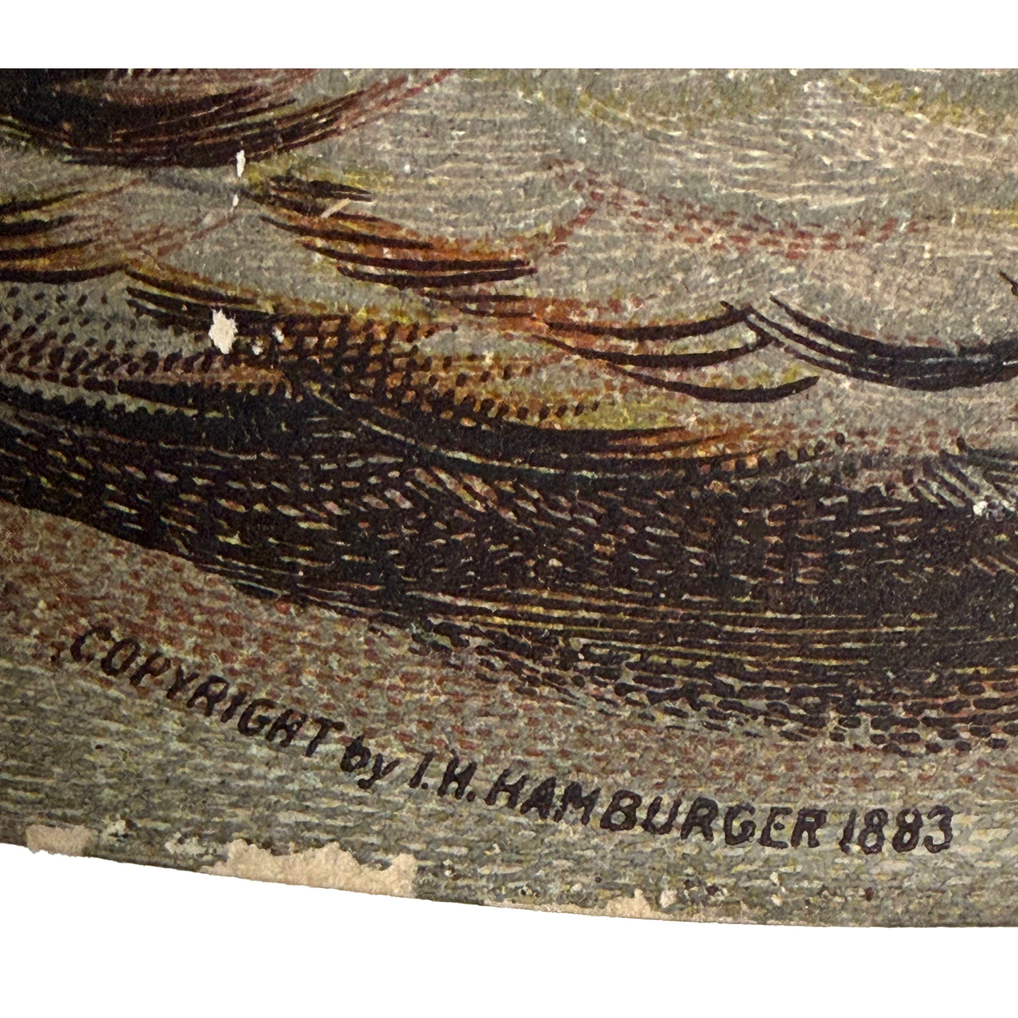 Copyright detail reading I.H. Hamburger 1883