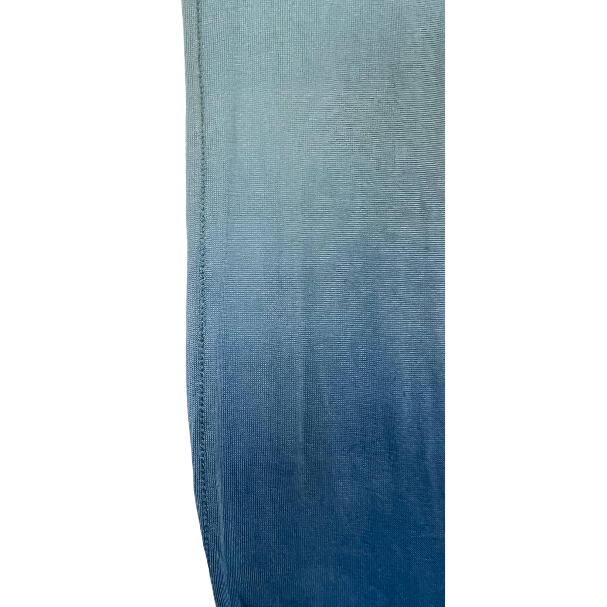 Vintage 1920s Silk Stockings Ombre Blue Van Raalte Size M