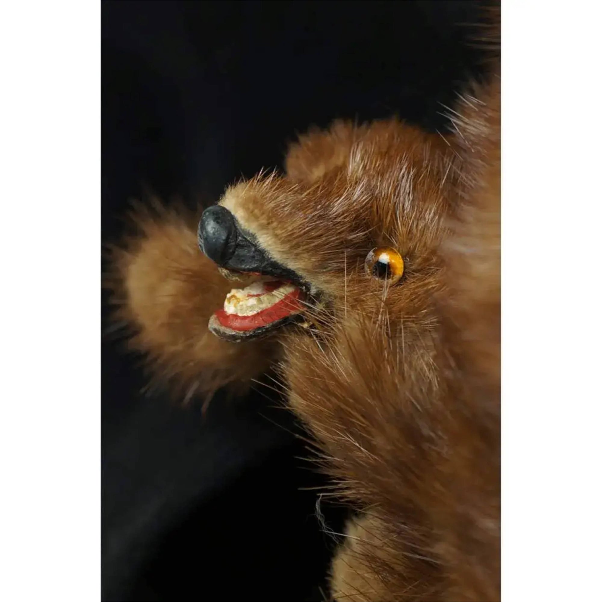 Antique Victorian Mink Fur Collar and Muff Set – Poppy's Vintage