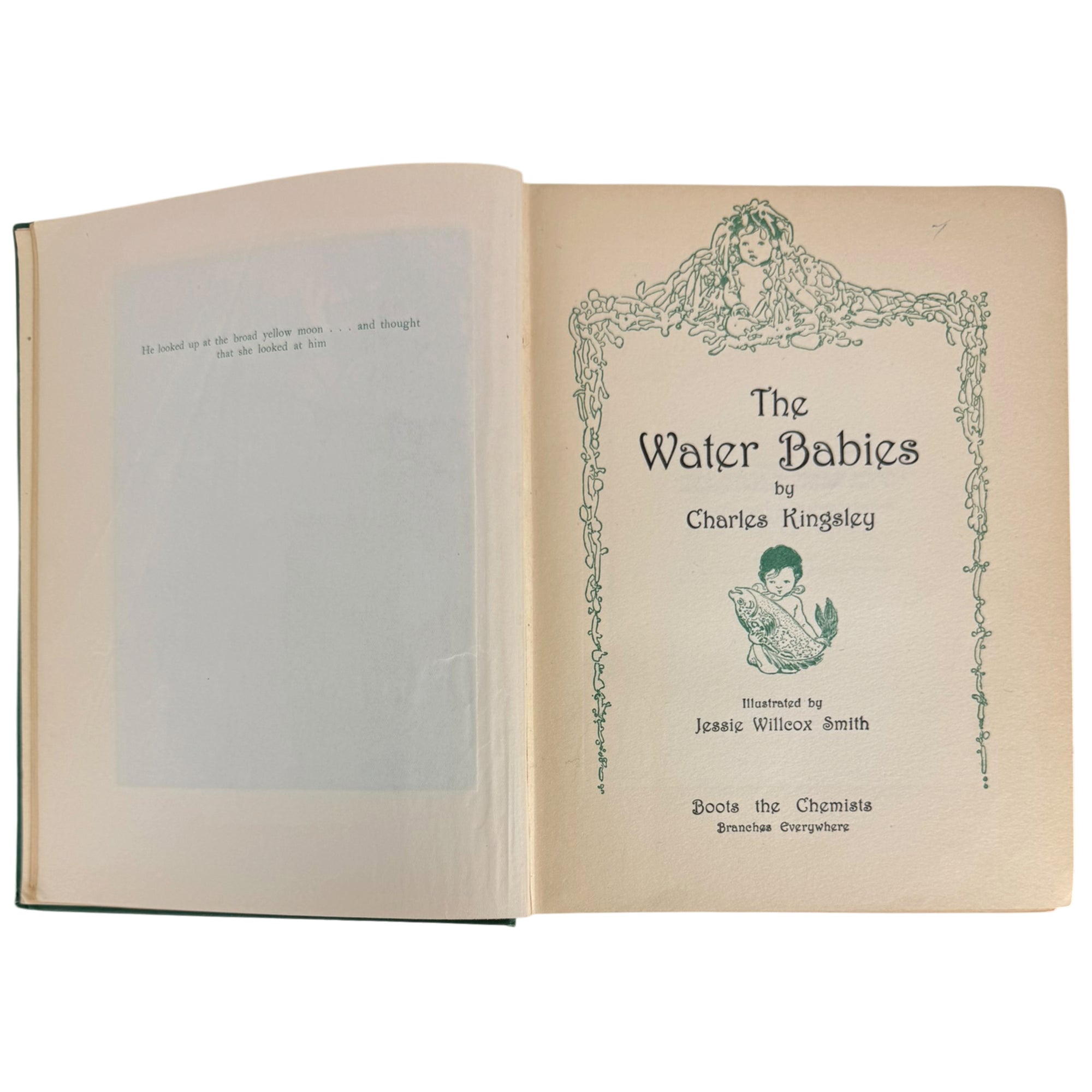 title page of the water babies by charles kingsley boots the chemist edition