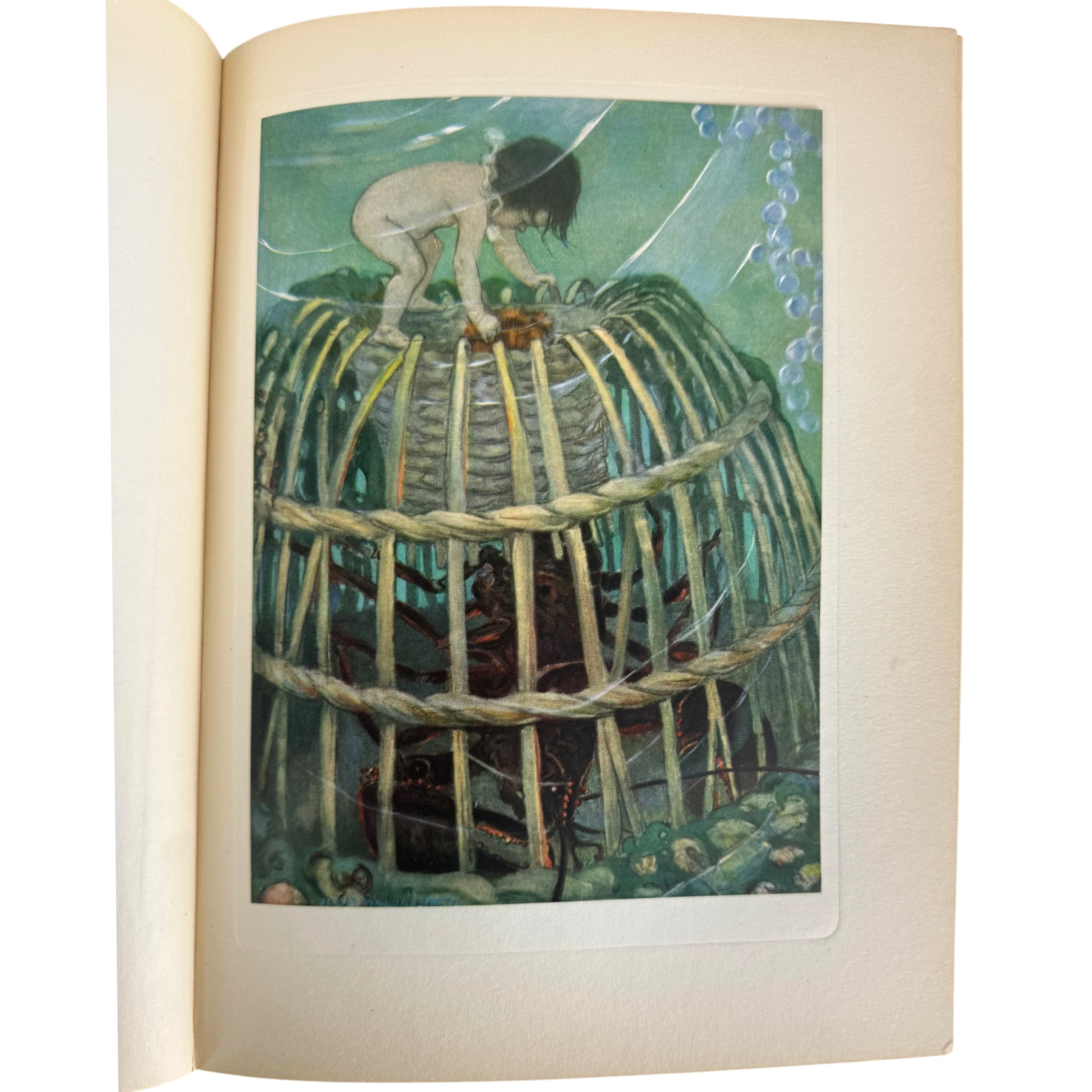 Antique The Water Babies Jessie Willcox Smith Illustrated Book c