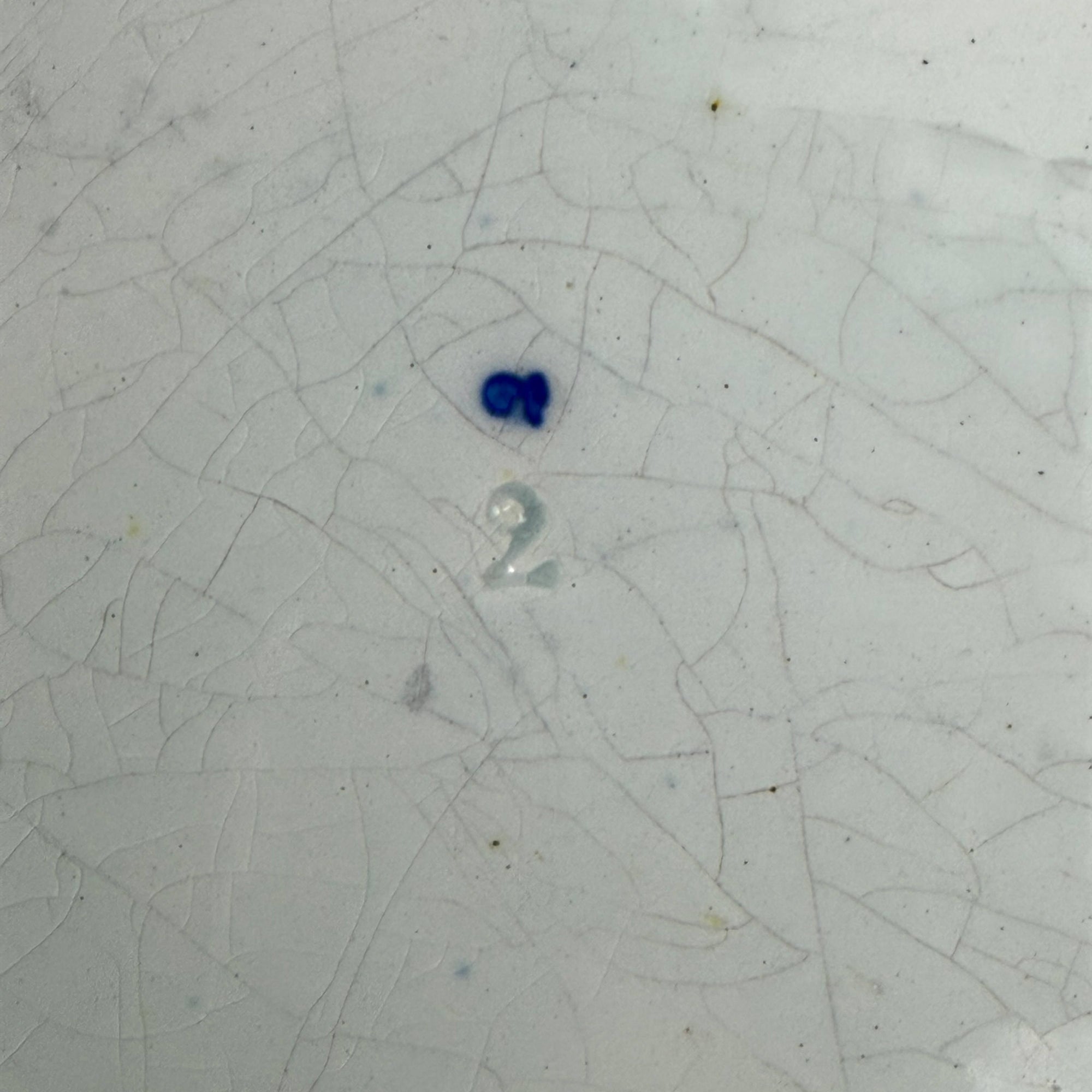 Antique Staffordshire Pearlware Warming Plate Wild Rose Pattern c 1830