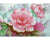 Occupied Japan Shofu China Plate Hand Painted Flowers Signed K Hayashi - Poppy's Vintage Clothing