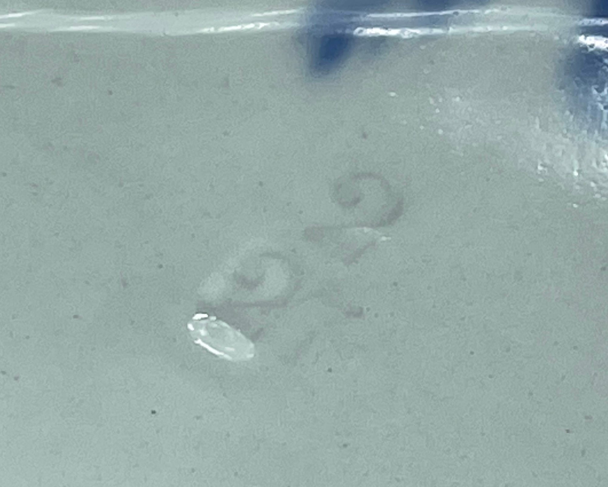 Vintage 1920s Wedgwood & Co Blue Willow Lidded Vegetable Bowl - Poppy's Vintage Clothing