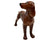 Vintage 1960s Coopercraft Dog Figurine Irish Setter Summerbank Pottery England - Poppy's Vintage Clothing