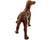 Vintage 1960s Coopercraft Dog Figurine Irish Setter Summerbank Pottery England - Poppy's Vintage Clothing