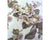 Antique Doulton Burslem Porcelain Plate c 1888 Acanthus Leaf Scroll Edge - Poppy's Vintage Clothing