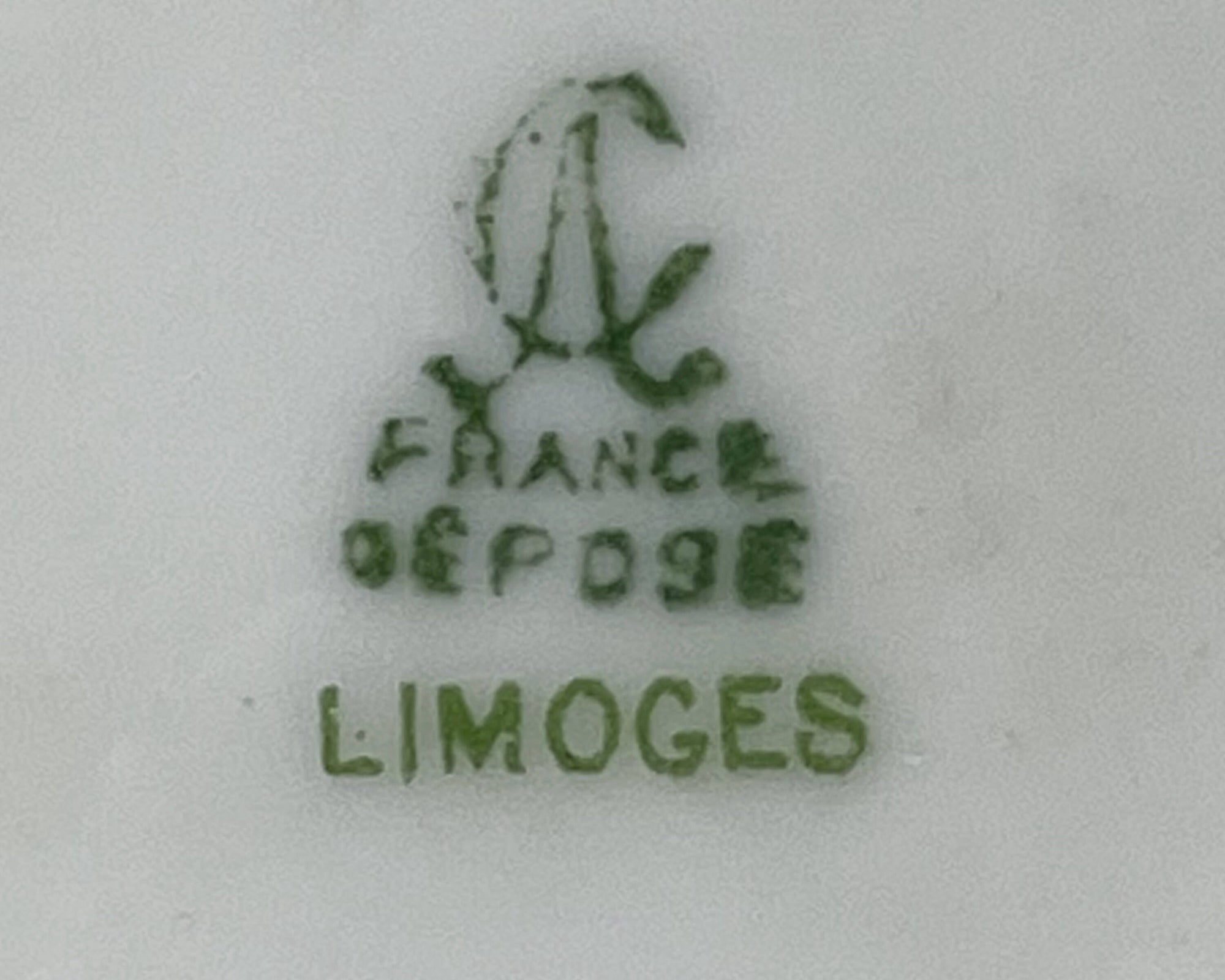 Antique Limoges Porcelain Cup and Saucer Hand Painted Flowers Charles Ahrenfeldt - Poppy's Vintage Clothing