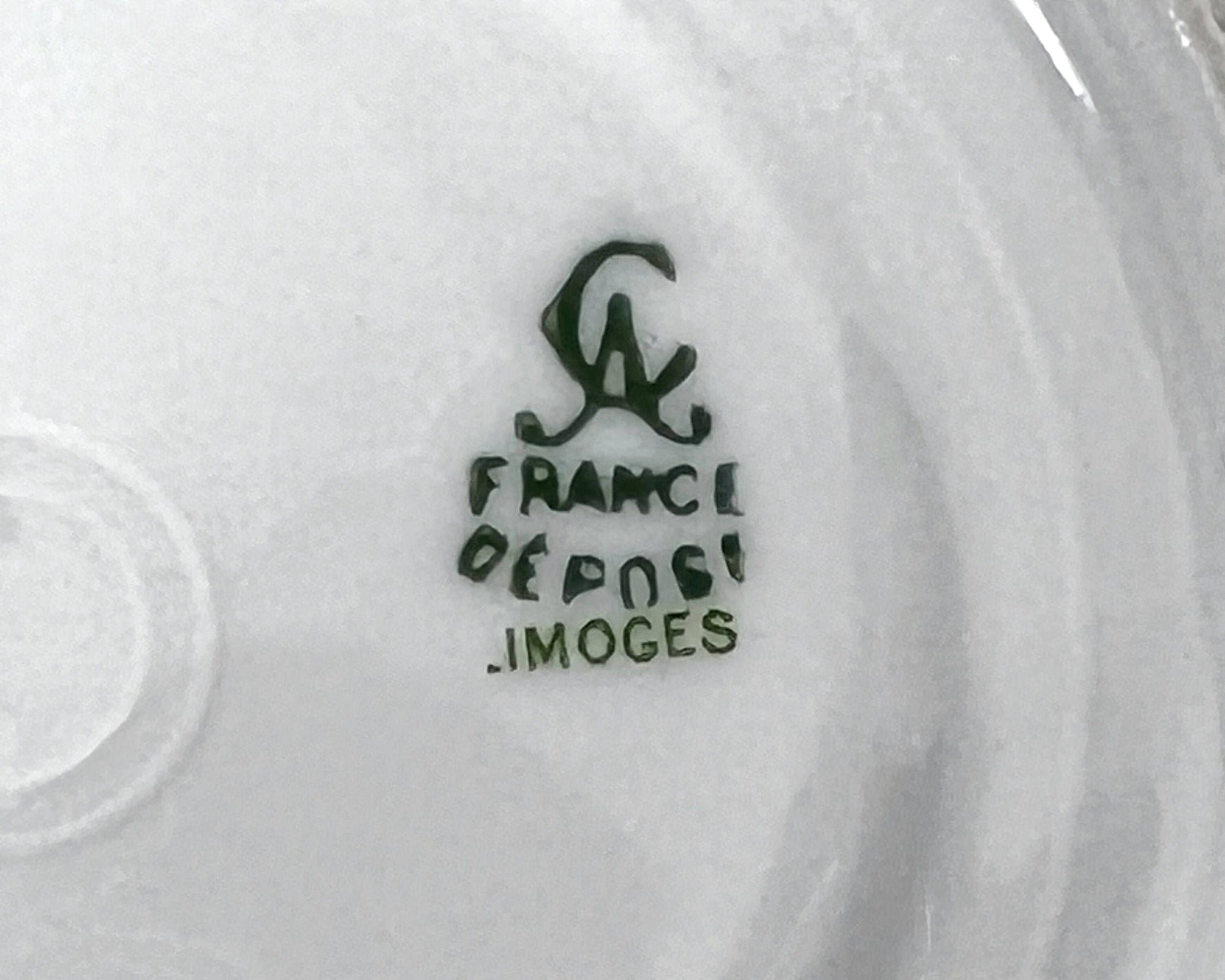 Antique Limoges Porcelain Cup and Saucer Hand Painted Flowers Charles Ahrenfeldt - Poppy's Vintage Clothing